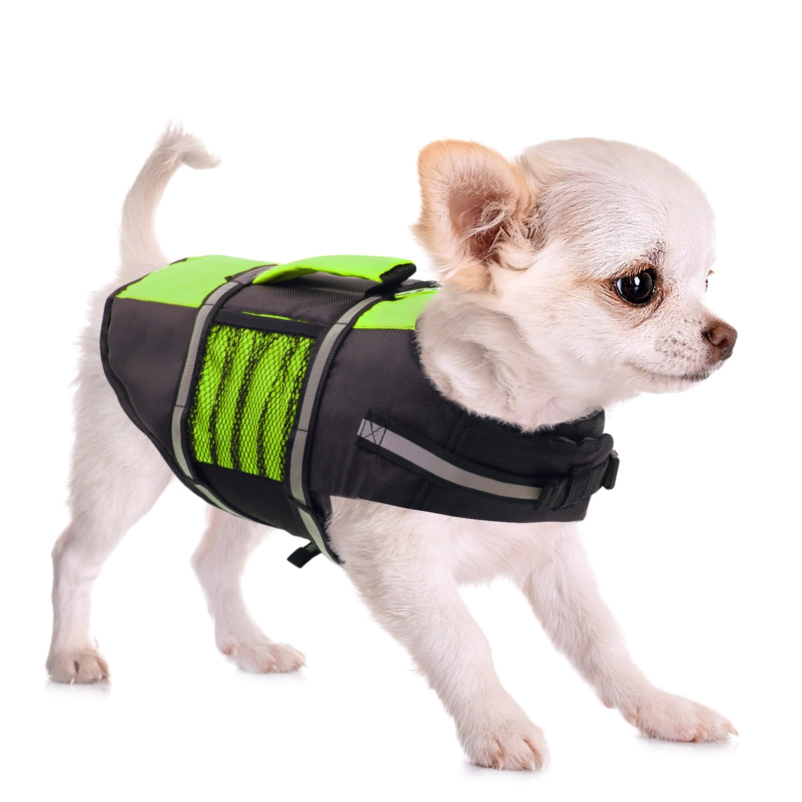 Queenmore Dog Life Jacket Lifesaver Preserver High Buoyancy With Emergency Grab Handle For Small & Medium Dogs Green, Large