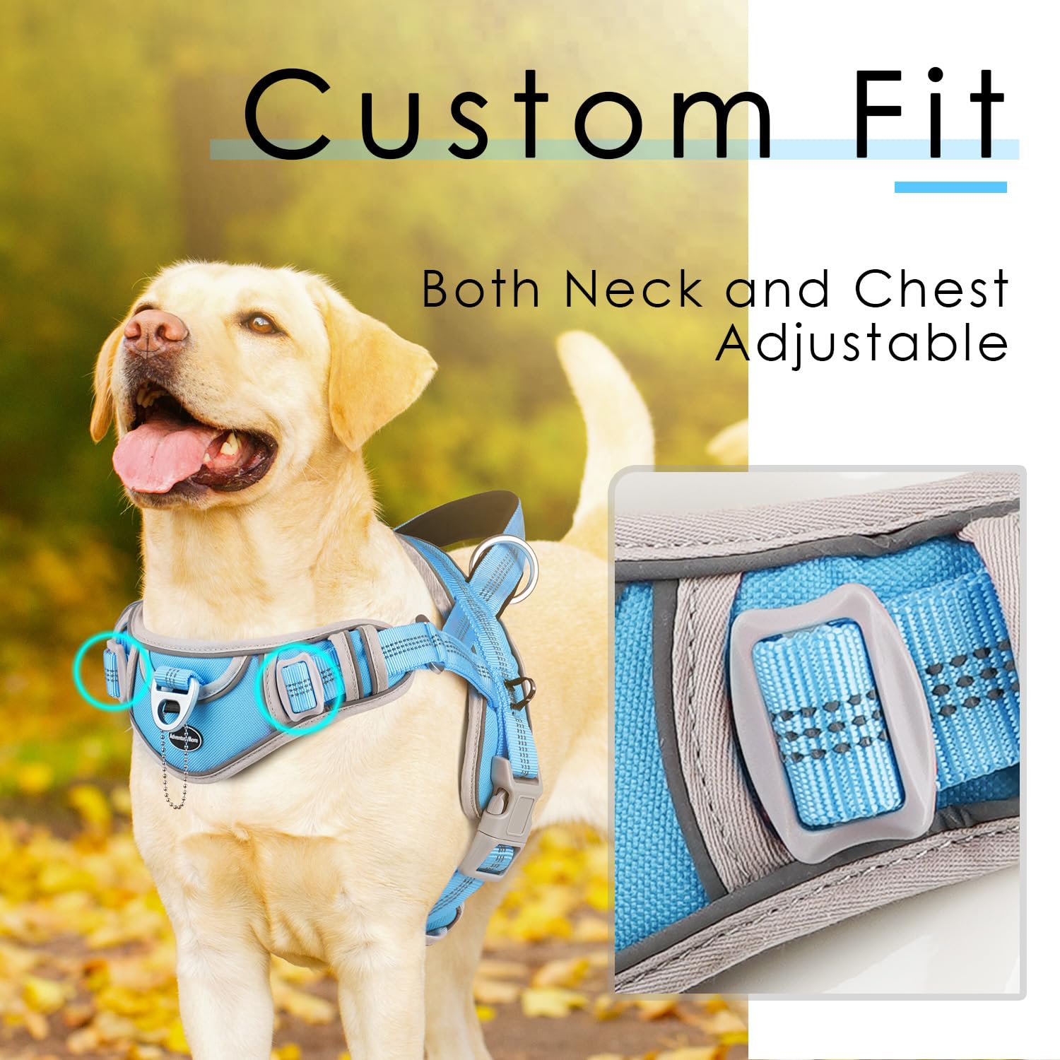 Adventuremore Small Dog No Pull Harness With Qr Code Tag, Reflective Vest, Front Clip Handle For Training Walking, Light Blue