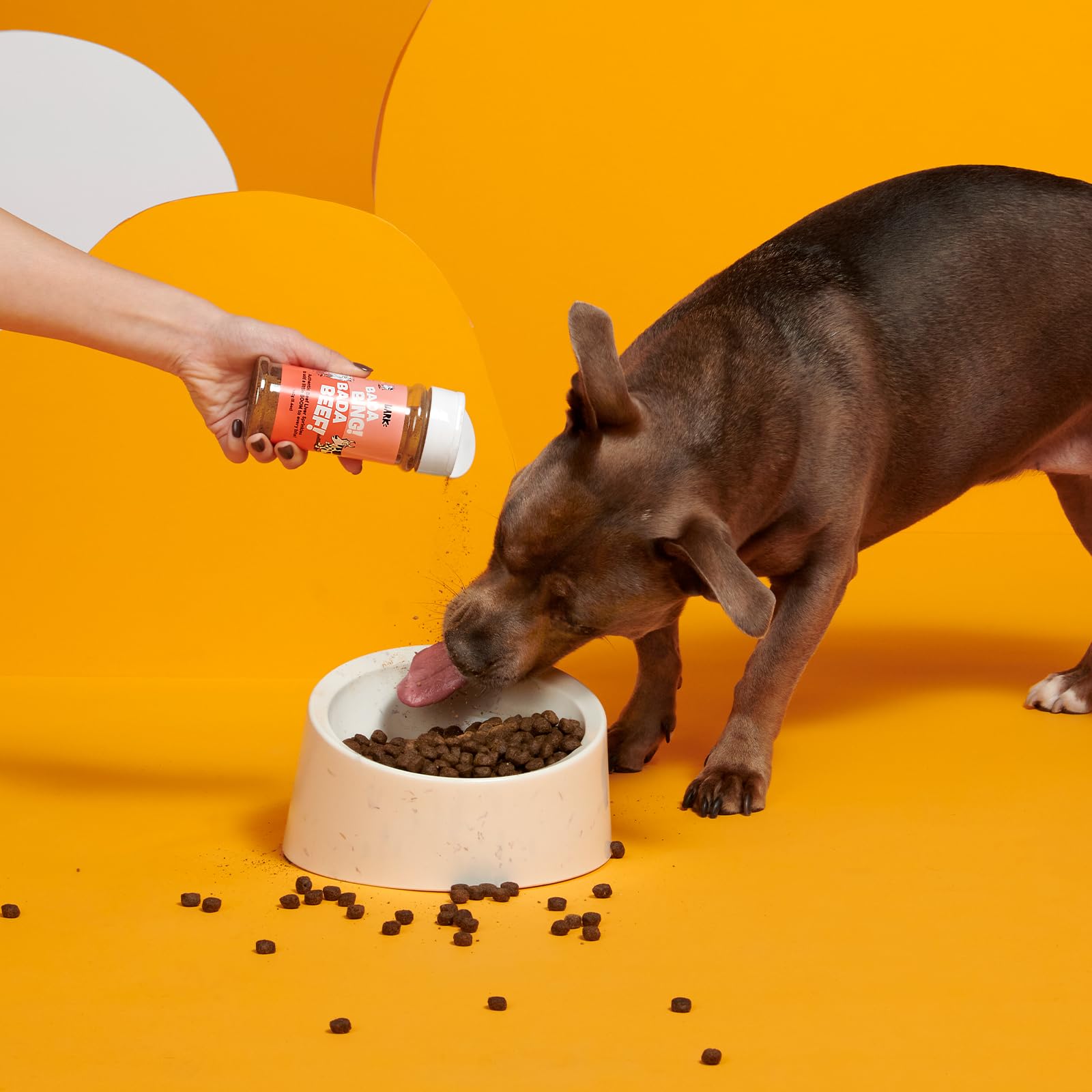 BARK Pork Dog Treat Topper High Protein Limited Ingredient Meal Mixer, All Life Stages, Rosemary Extract for Large & Small Breed