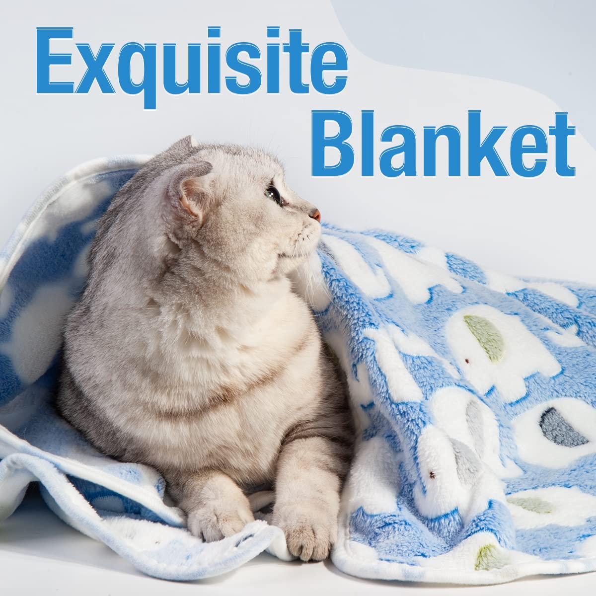 Pet Soft 1 Pack 3 Blankets Pet Blankets For Large Dogs, Fluffy Cats Dogs Blankets For Small Medium & Large Dogs, Cute Print Pet Throw Puppy Blankets 3 Pack (Elephant, 3M)