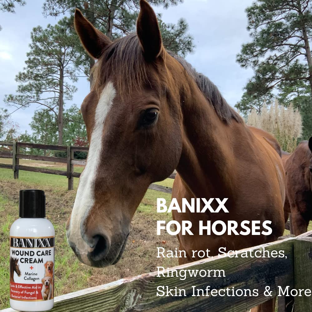 BANIXX Wound Care Cream w/Marine Collagen 4oz