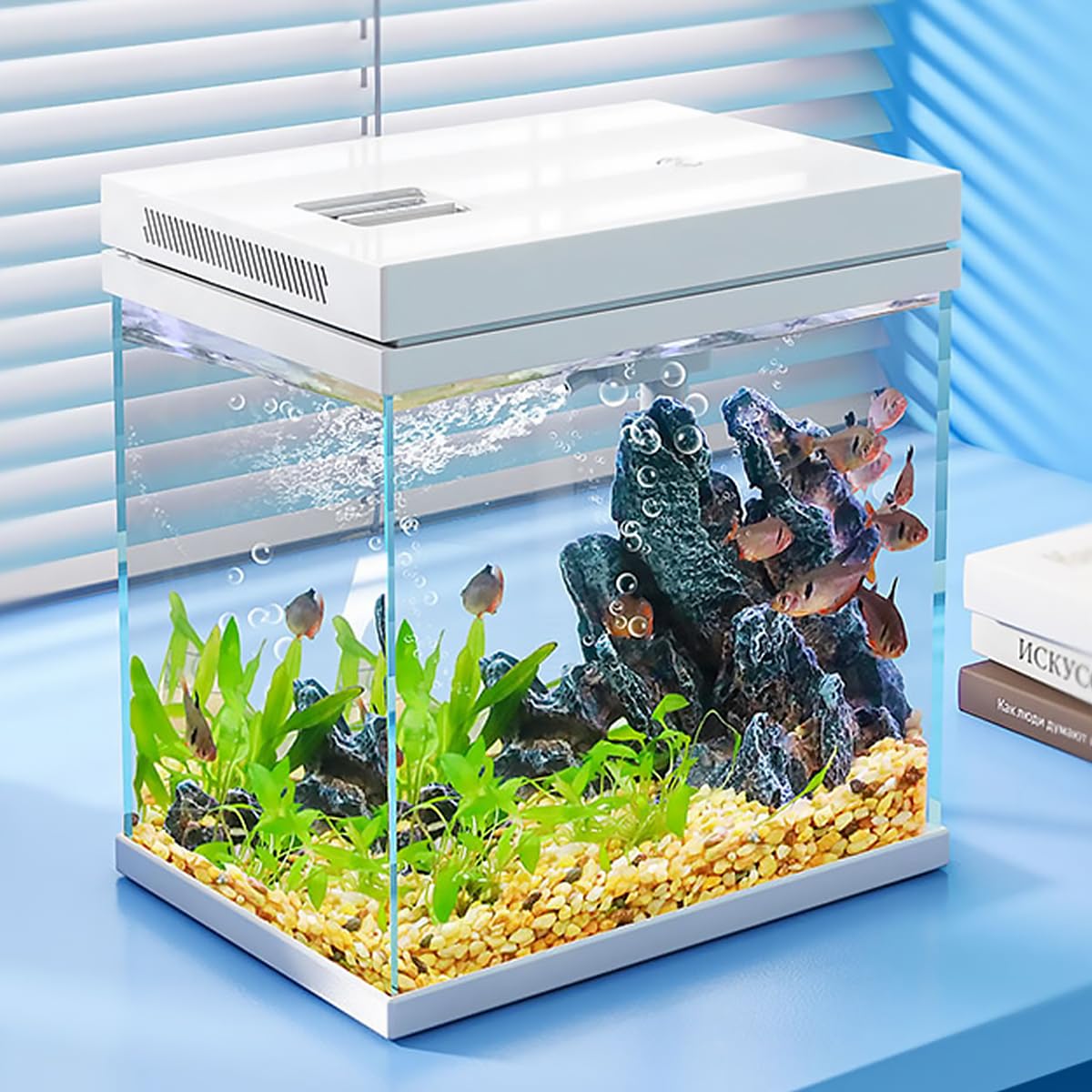 Craftsboys Fish Tank, 4 Gallon Nano-Aquarium, Upgrade Filter System And Led Light, For Freshwater & Marine, Filter Balls Include