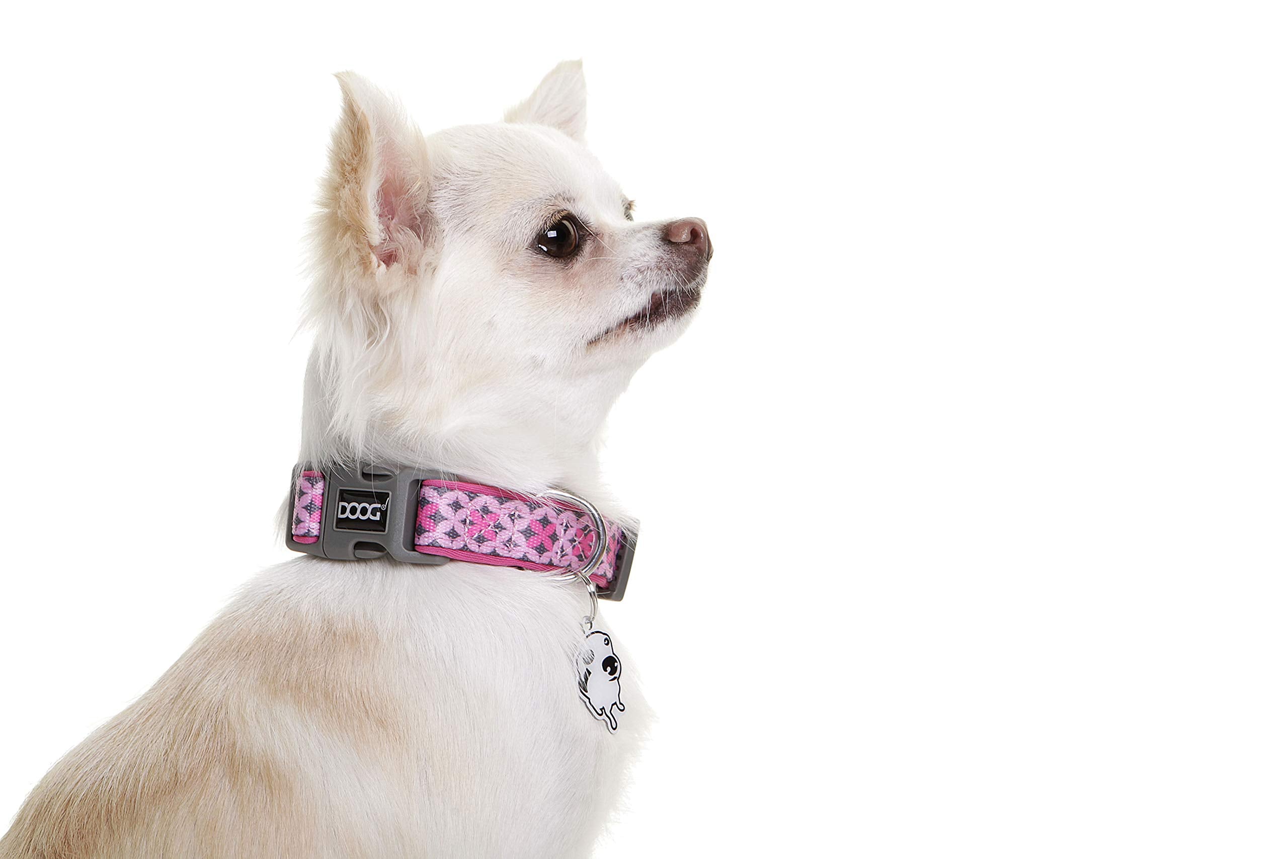 Doog - Soft And Breathable Neoprene Padded Adjustable Dog Collar Available: Xsmall, Small, Medium, And Large Dogs And Puppies For Walking, Running, Water Friendly Pool Lake Beach Swimming