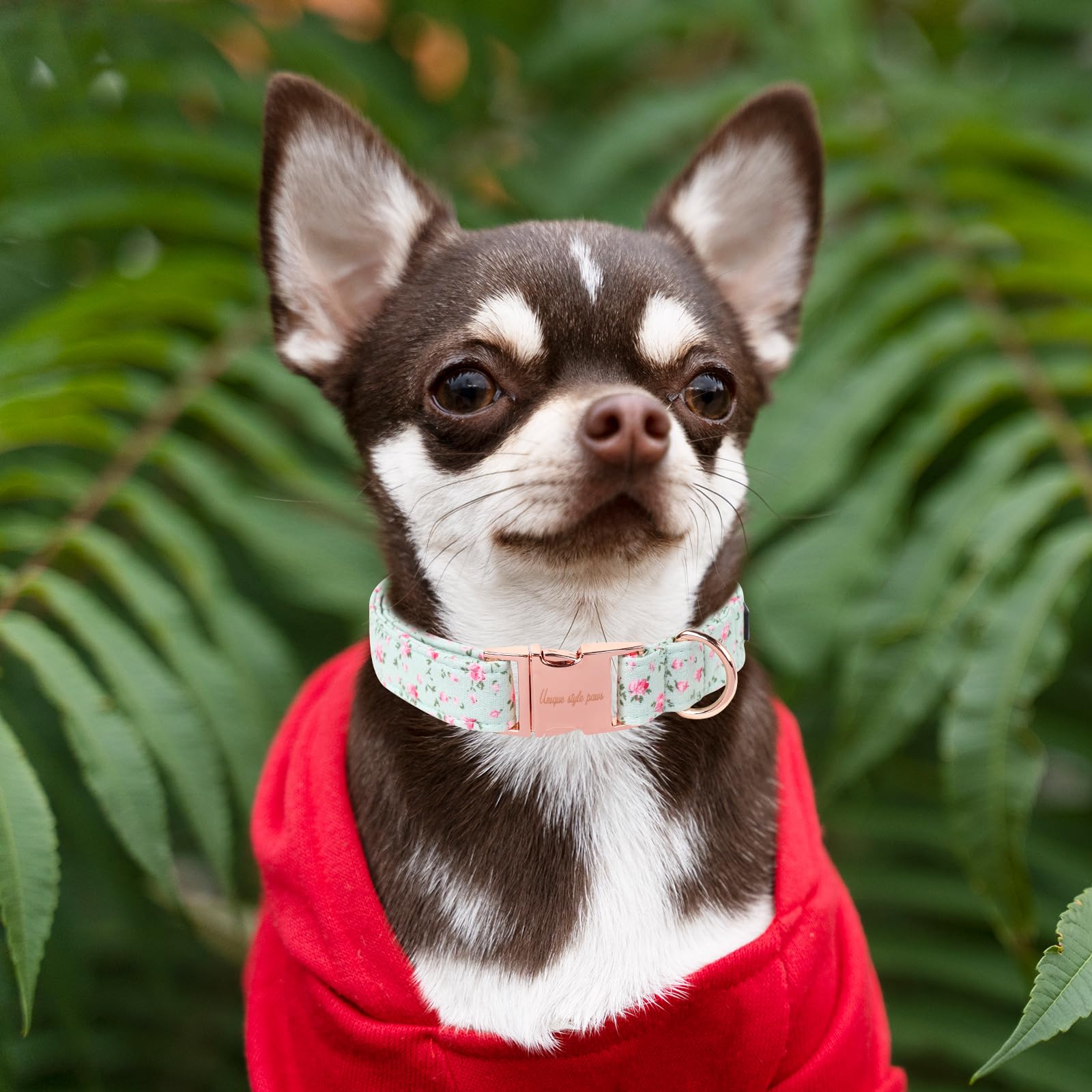 Unique Style Paws Dog Collar Metal Buckle Green Flowers Collar Gift Durable Cute Collar For Small Medium Large Boys Girls Dogs