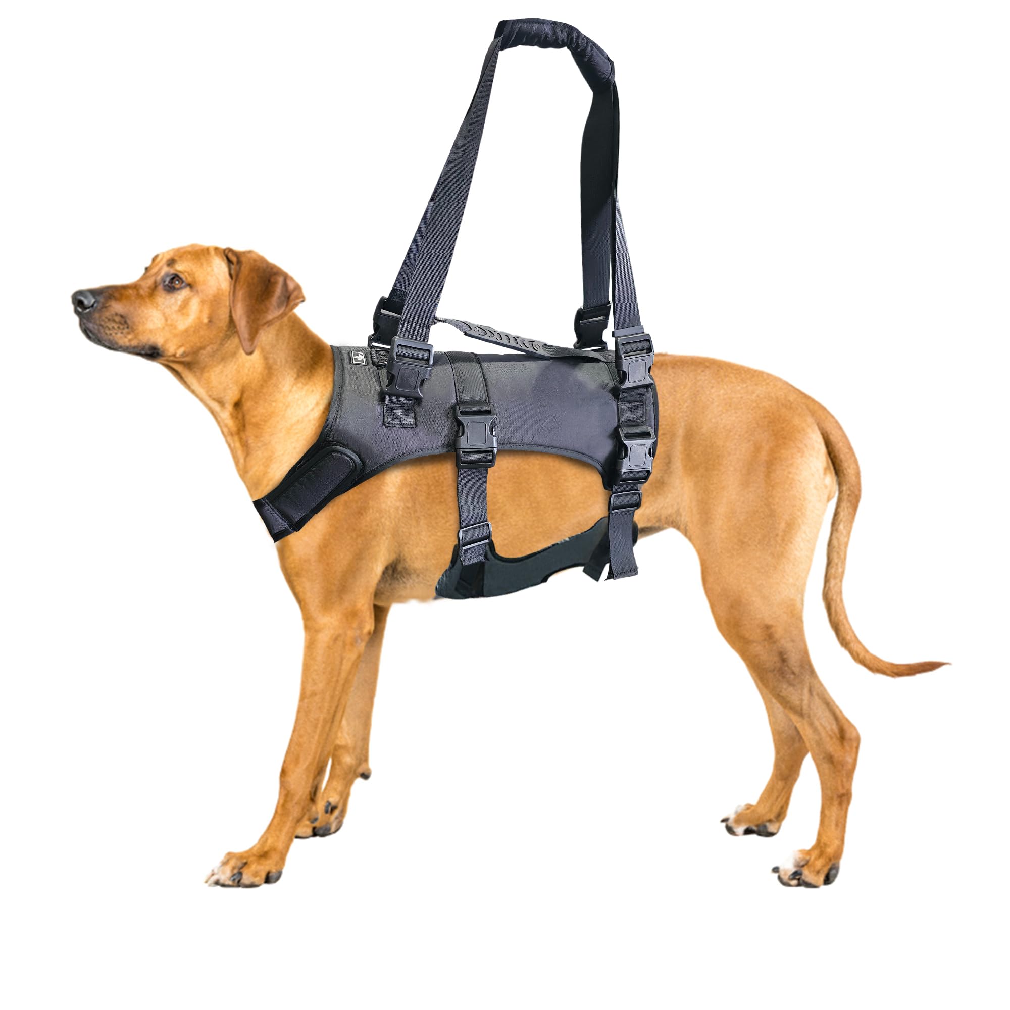Doggie Stylz Dog Lift Harness for Large Dogs Full Body Support Sling Dog Carrier has Adjustable Handles Recovery Vest for Senior