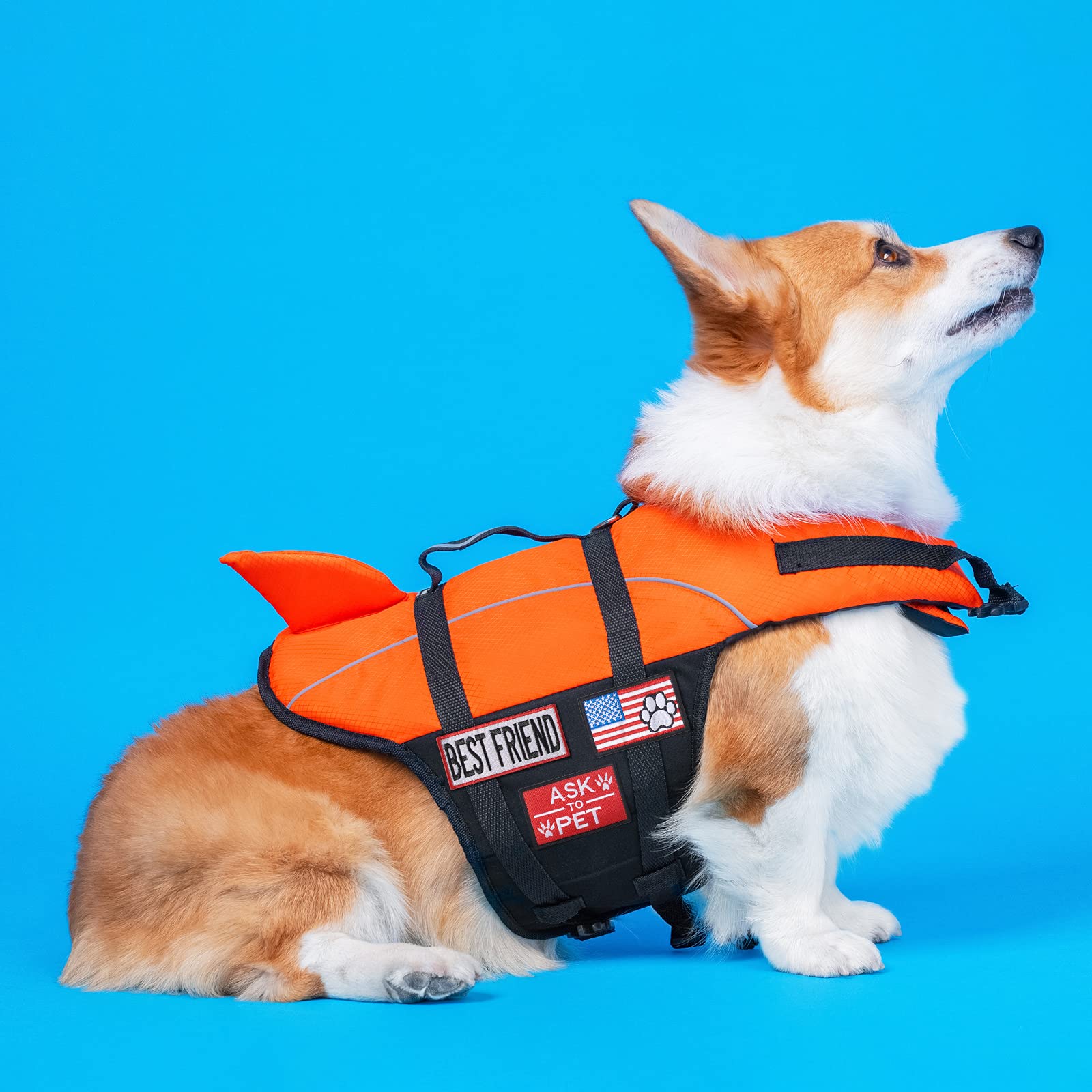 10 Pieces Service Dog Patches Ask To Do Not Pet Patch Vest Removable Tactical Pet In Training Hook And Loop Harness American Fla