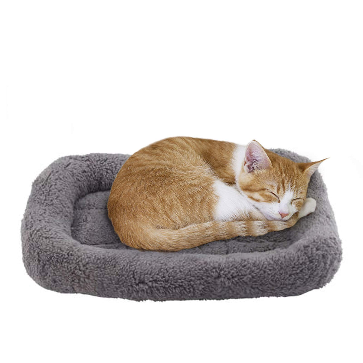 Lesypet Cat Beds For Indoor Cats, 15' X 10' Small Cat Bed Curl Sleep Plush Cushion With Pillow, Non-Slip Bottom Washable Mat For Small Pet Puppy Rabbit, Small