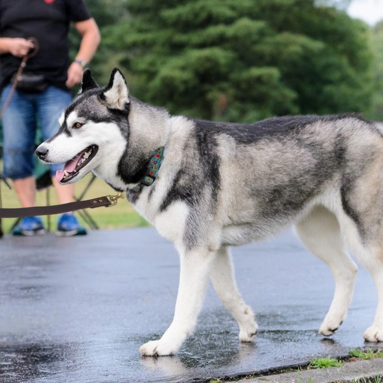 Heavy Duty Leather Dog Leash 6 Ft X 1 Inch,Strong Double Stitched Genuine Leather Pets Training Leash For Walking,Soft Handle An