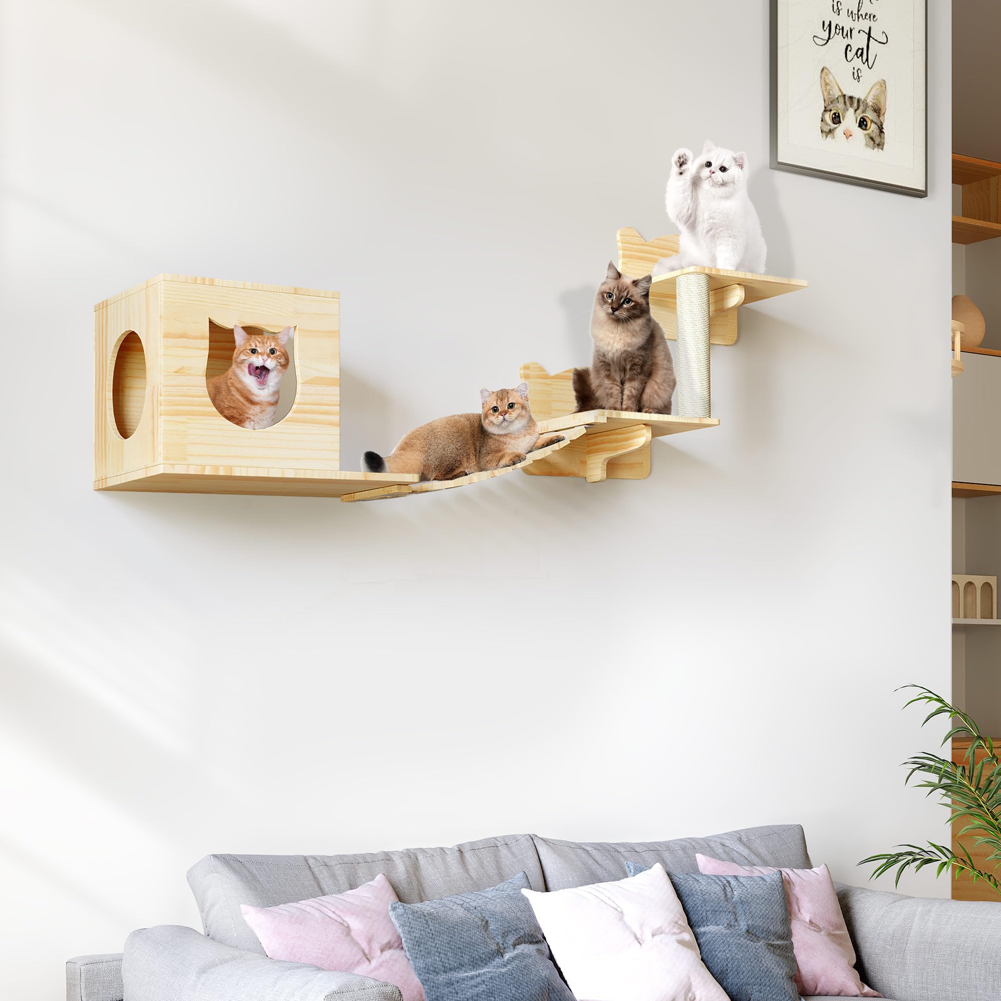 Homiflex Cat Wall Shelves, Wood Cat Wall Furniture(5 Piece Set), Solid Wooden Feline Shelf, with House, Steps, Bridge Ladder and