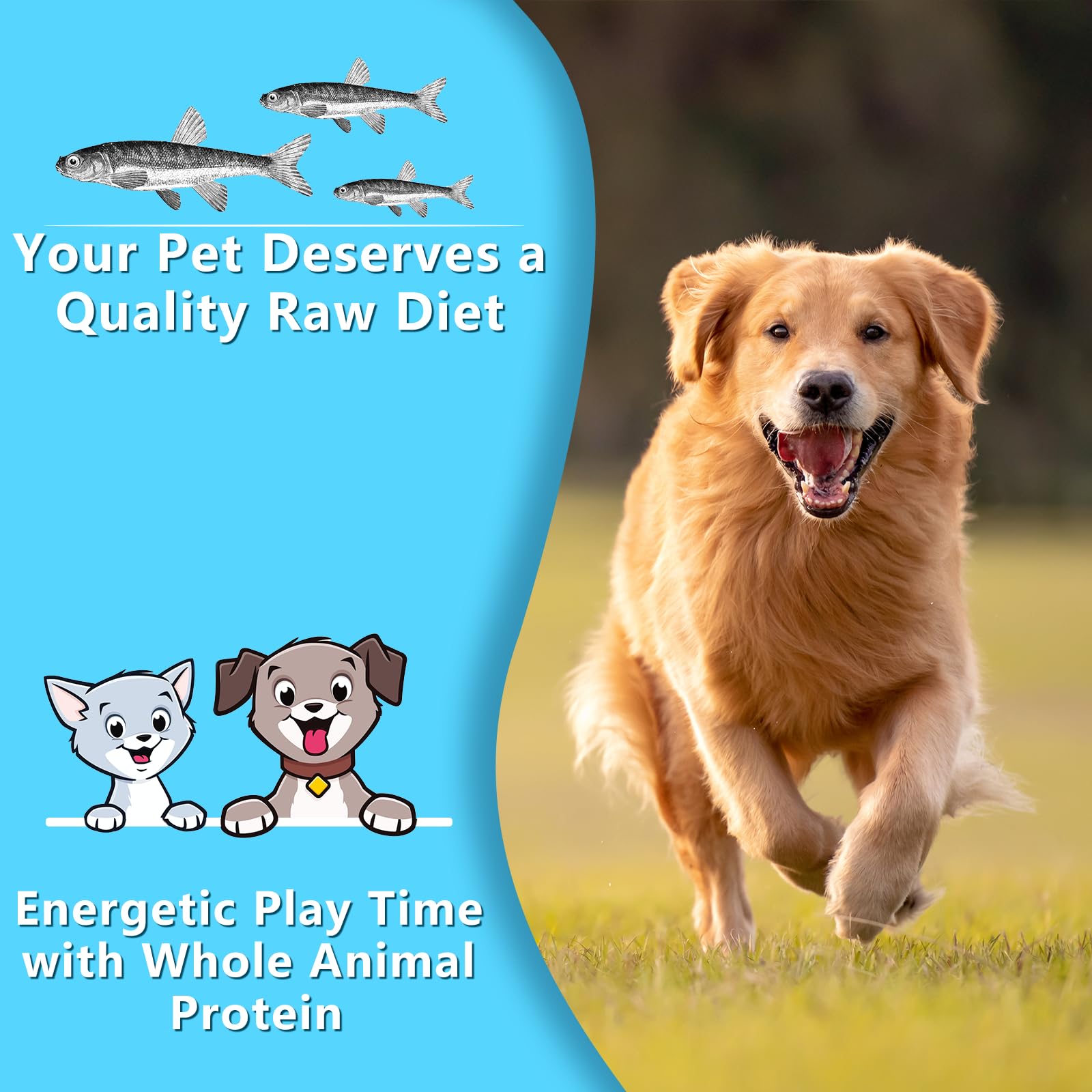 JADINGSFARM 2.5oz Natural Air-Dried Minnows Dog and Cat Treats, Grain-Free, High-Protein, Single-Ingredient Fish Snacks for Trai