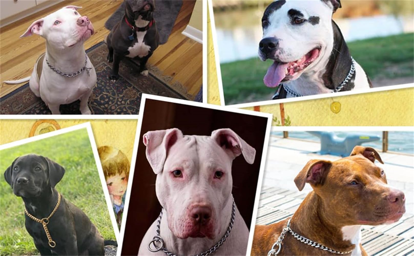 Silver Choke Collar For Dogs,Metal Slip Link Dog Choke Collar Training Heavy Duty Male Boys Dog Choker Chain Female Girls Martin