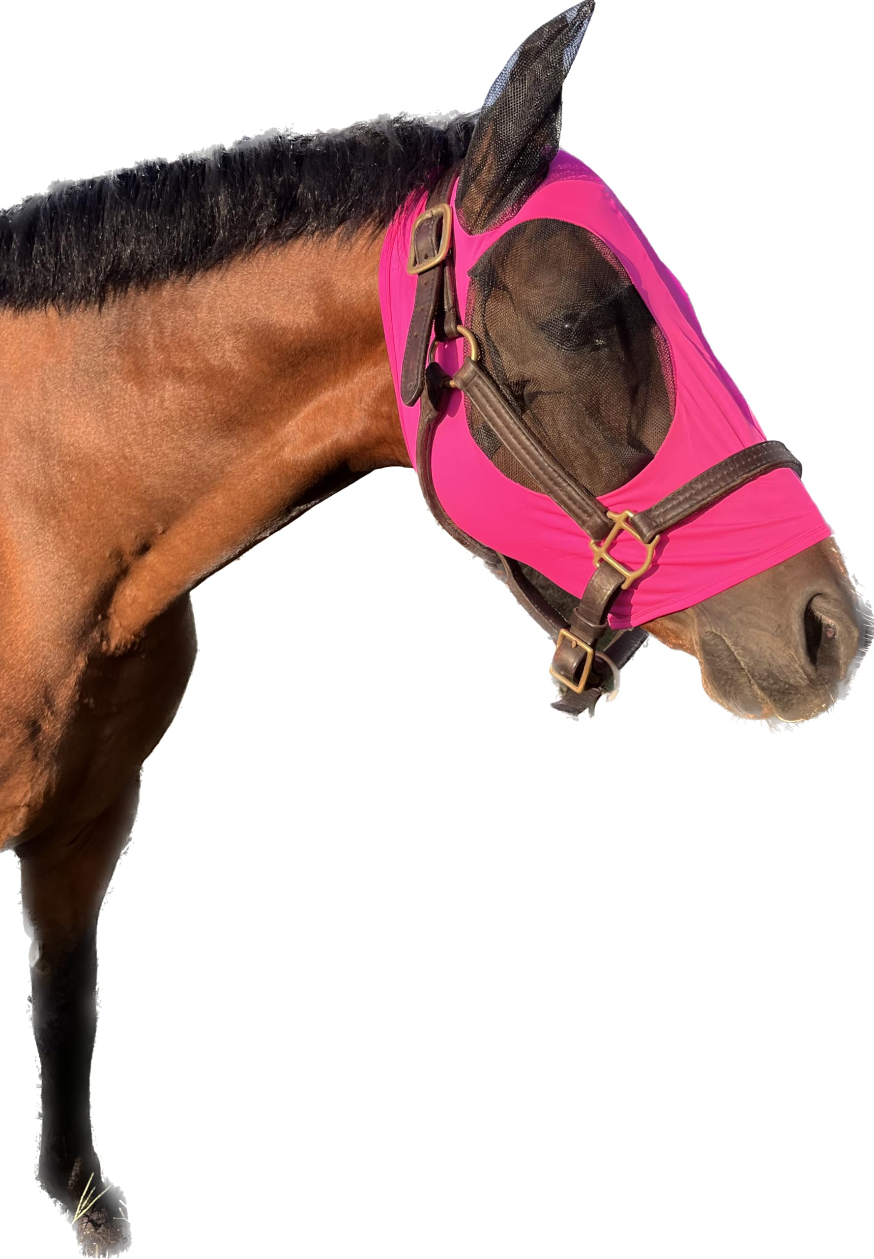Stretchy Horse Fly Mask with Ears Comfort Fit Mesh Trail Pasture Sun UV Protection (Arab/Cob/Small Quarter, Pink)