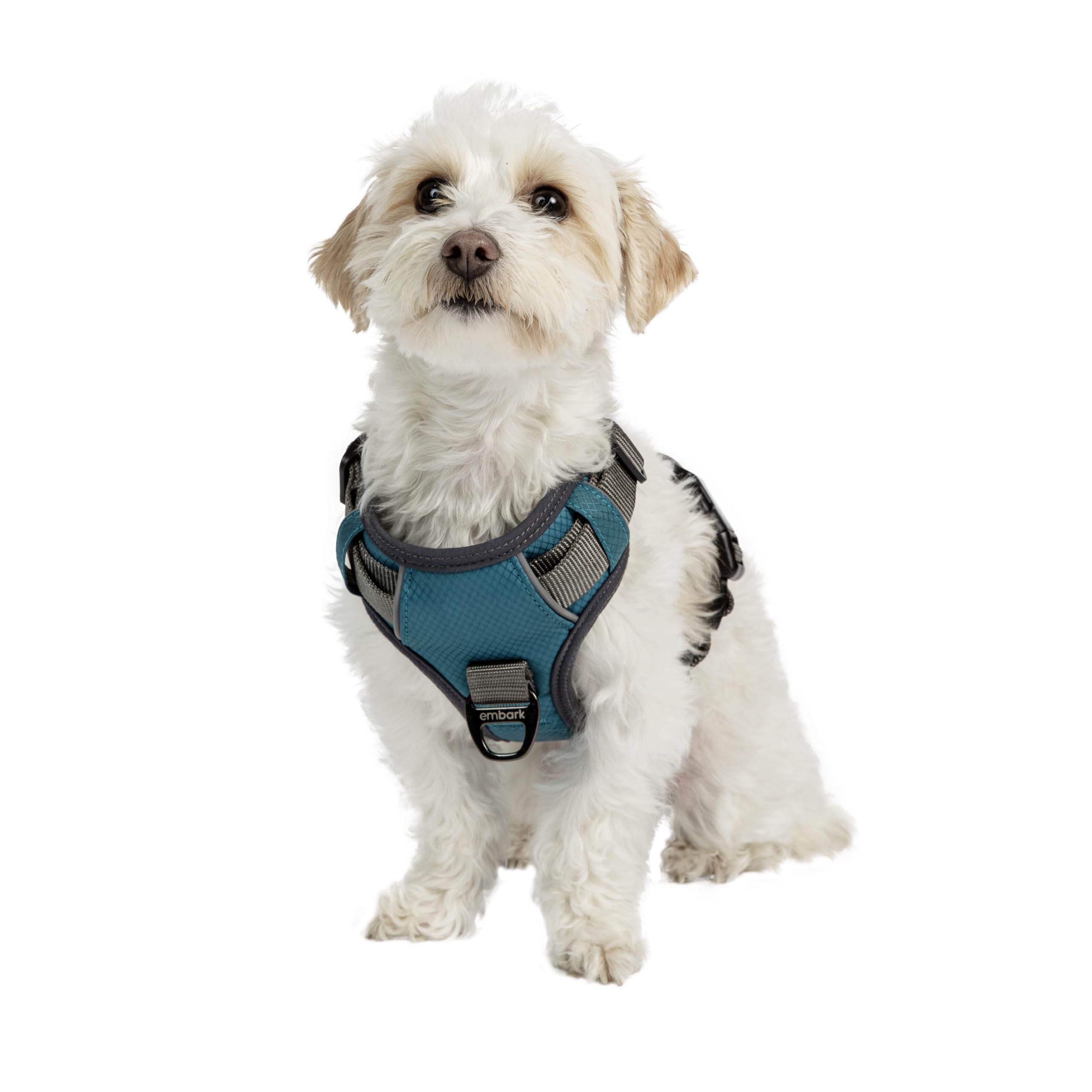 Embark Adventure Dog Harness No-Pull Dog Harness For Small Dogs, Medium & Large. 2 Leash Clips, Front & Back With Control Handle, Adjustable Blue Dog Vest For Any Breed, Soft & Padded For Comfort