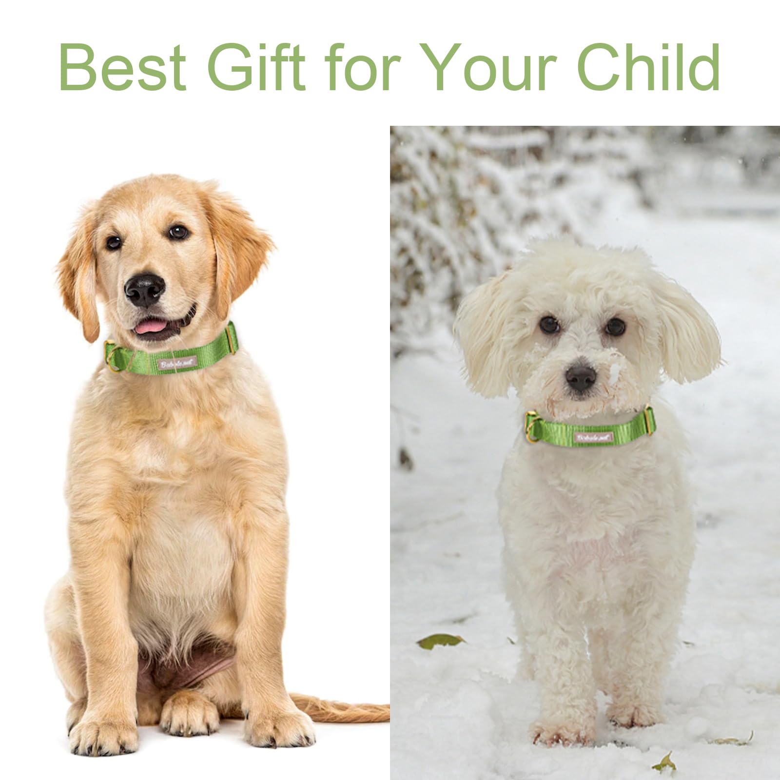 Babole Pet Nylon Dog Collar - Adjustable Green Soft Webbing Dog Collars For Small Medium Large Dogs Boy Girl Puppy Collar With S