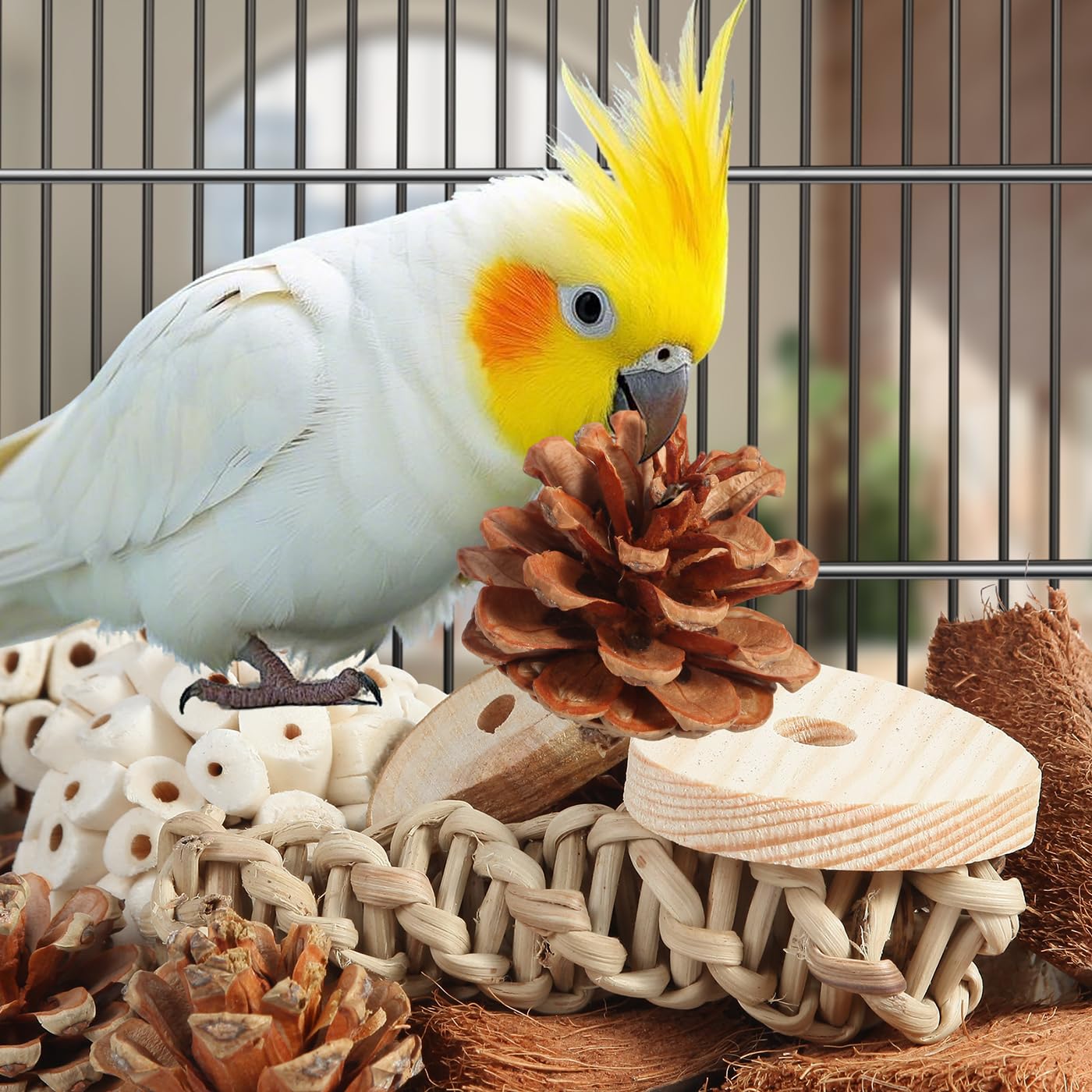 Kyouki Bird Toys Parrot Toys Natural Bird Foraging Box Foot Toys For Parakeets,Cockatiels,Conures,Love Birds,And Other Small To