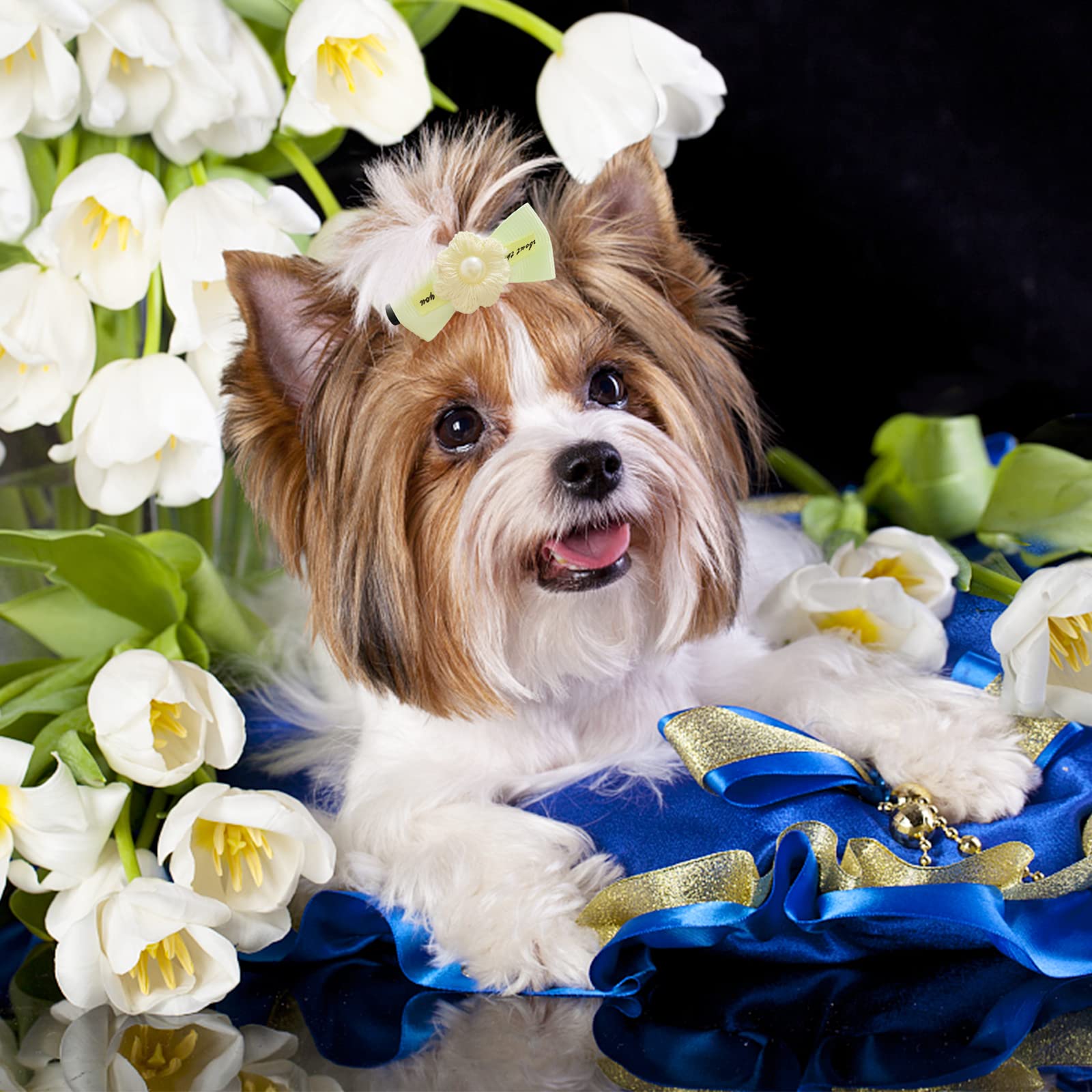 Dorui 70 Pcs Dog Hair Bows, Cute Hair Alligator Clip Bowknot With Pearl For Puppy Yorkie Small Pet Grooming Hair Accessories(70 Pcs Alligator Clip Pearls)