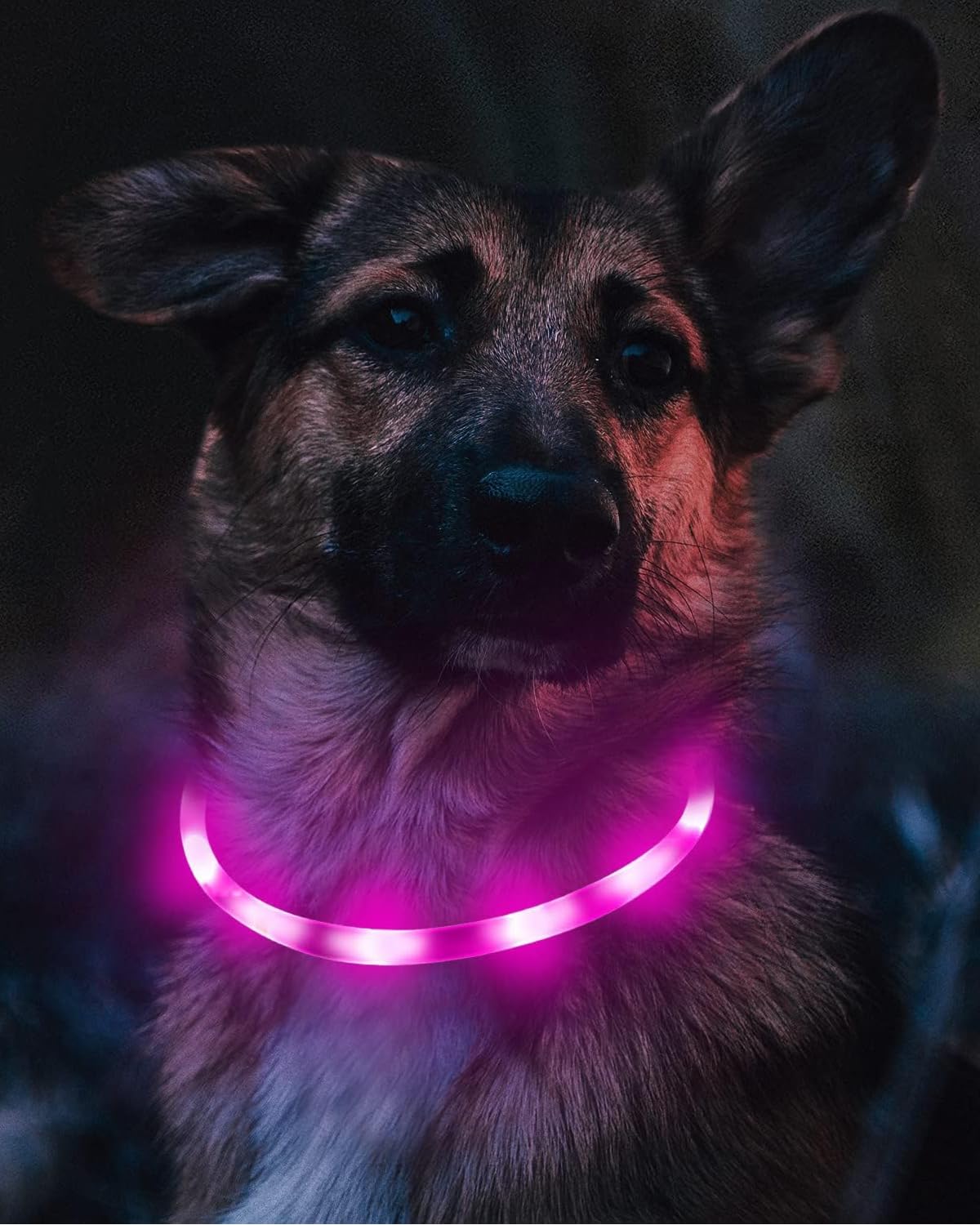 Joytale Light Up Dog Collar, Rechargeable Rainproof Led Collar For Night Walking Safety, Soft Silicone Glow In The Dark, Suitabl