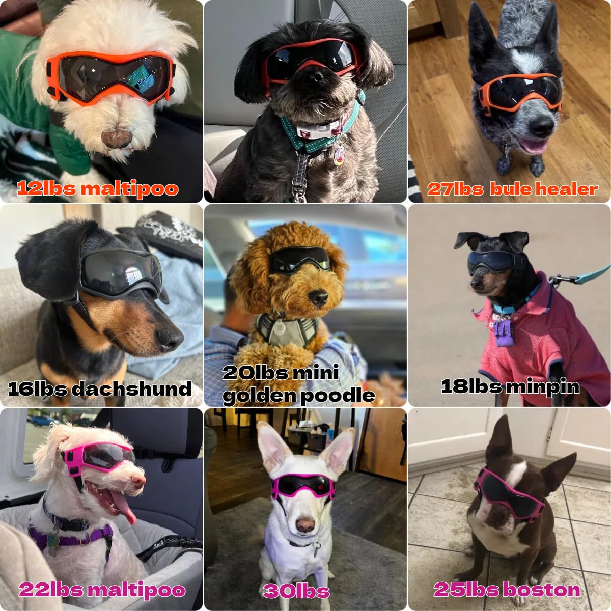 Petleso Dog Goggles Small Breed, Uv Protection Dog Sunglasses Medium Breed Dog Goggles For Medium Dog Outdoor Riding Driving, Medium Orange