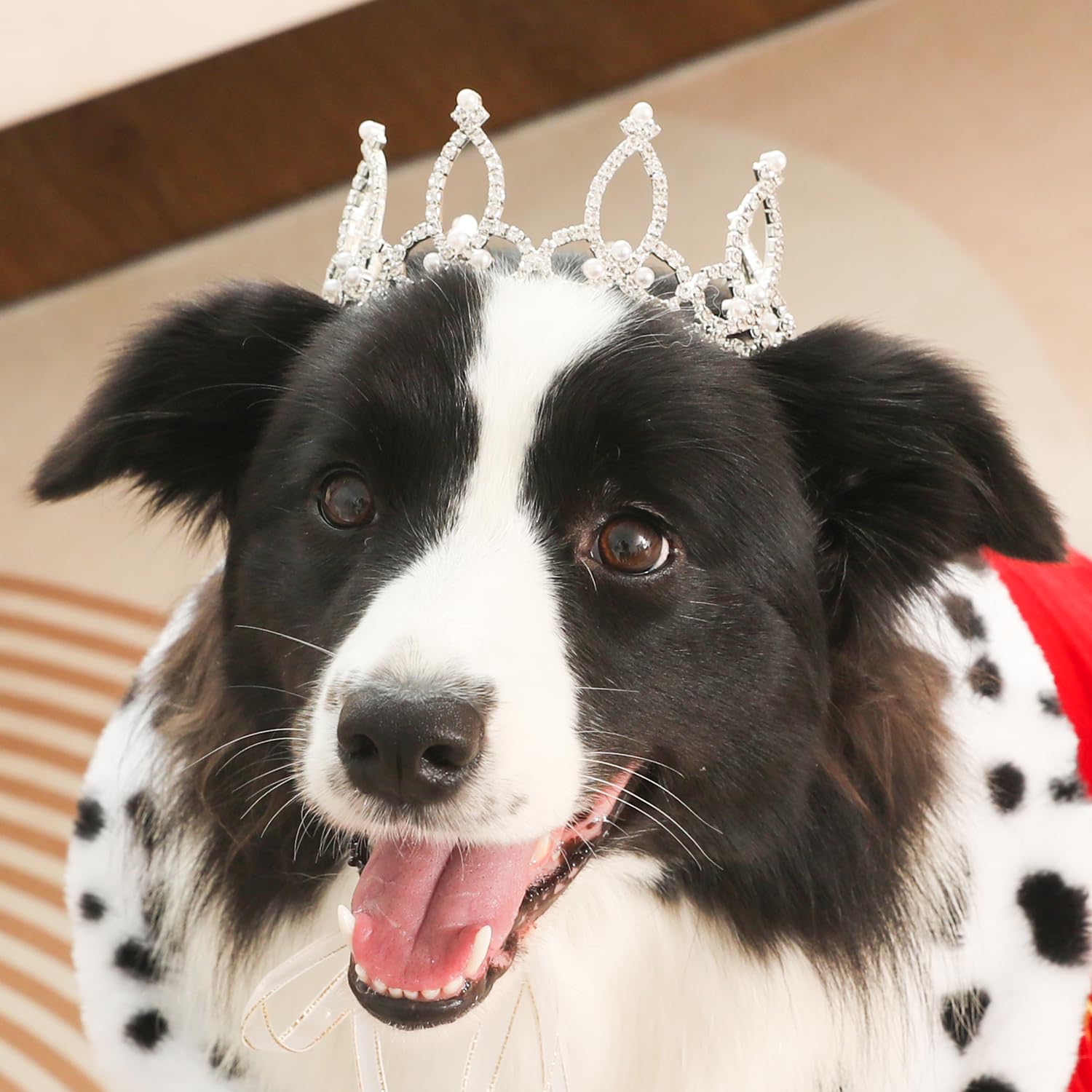 Lovelyshop Pet Series Silver Plated Royal Rhinestone Pearl Full Round Dog/Cat Crown For Rolyal Family Costume Hair Accessories-L