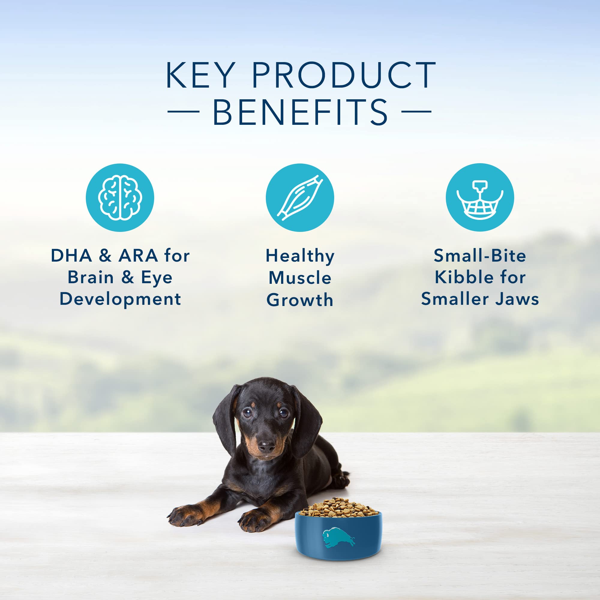Blue Buffalo Life Protection Formula Small Breed Puppy Dry Dog Food with DHA, Vital Nutrients & Antioxidants, Made with Natural
