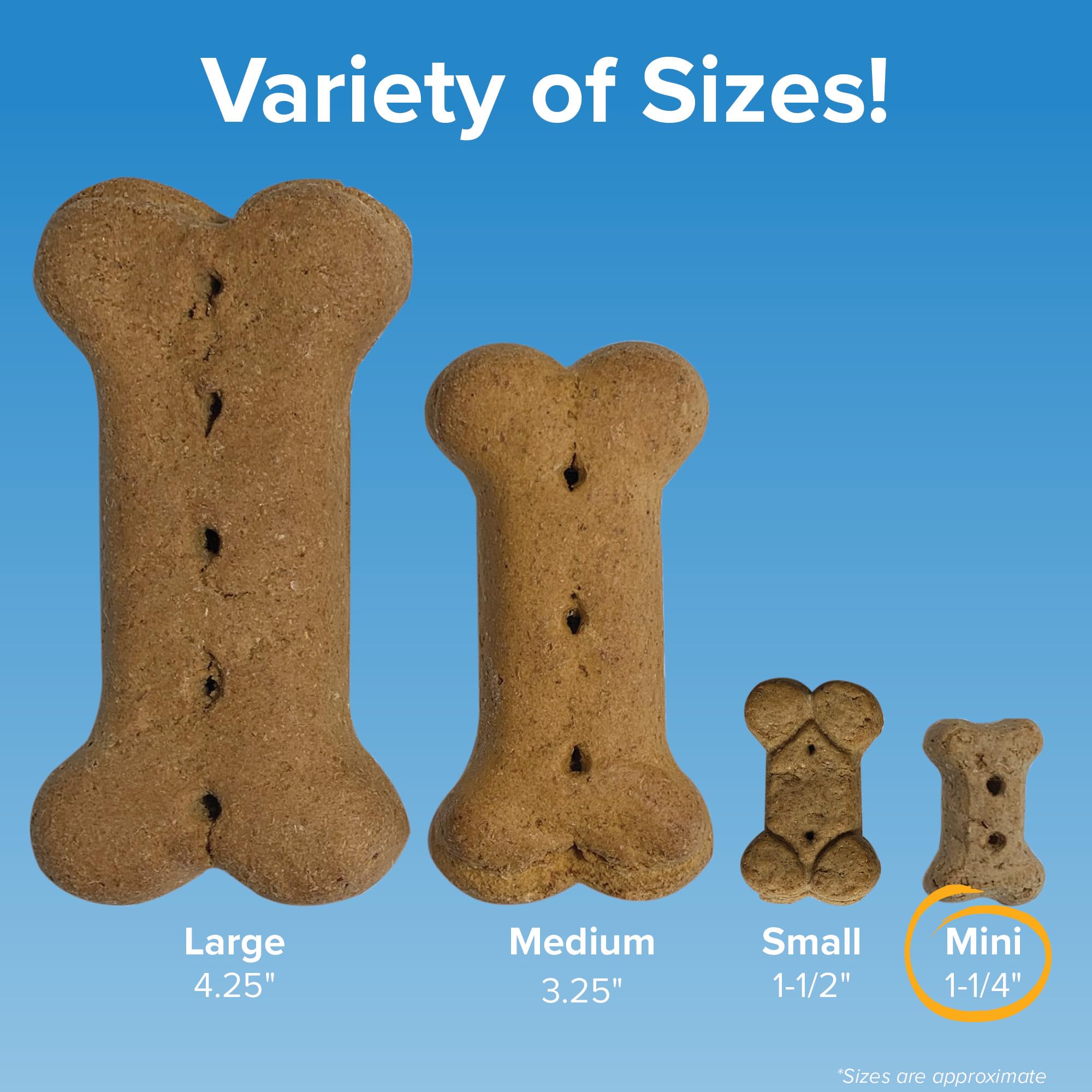 Blue Seal Kent Entrust Crunchers - Mini Dog Treats, Original Recipe - Crunchy Oven Baked Biscuits with Premium Ingredients, Heal