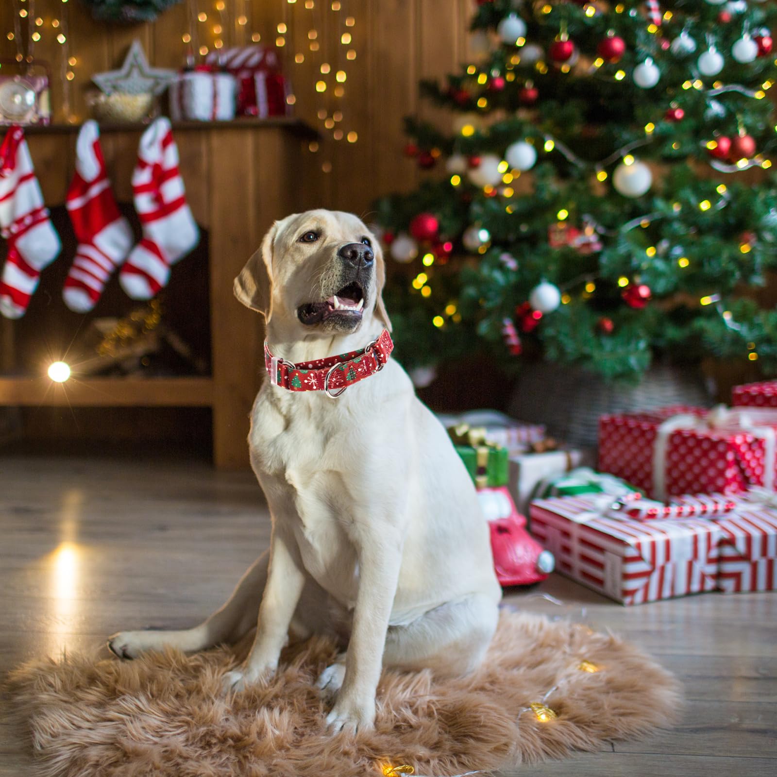 Christmas Martingale Collar For Dogs With Snowflakes And Christmas Trees, Adjustable No Slip Dog Training Collar Soft Nylon Dog