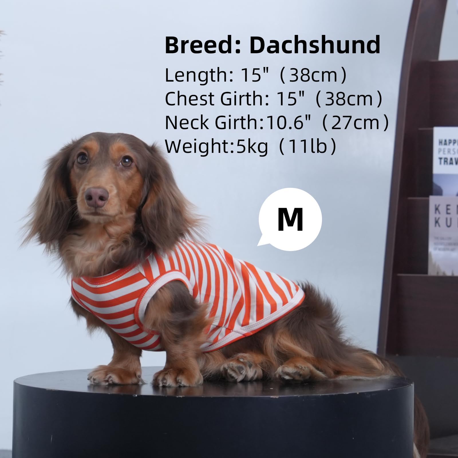 3 Pack Orange Striped Medium Dog T Shirts,Sleeveless Lightweight Dog Tee,Sun Protection Absorbent Shirt Park Stroll, Indoor Wear