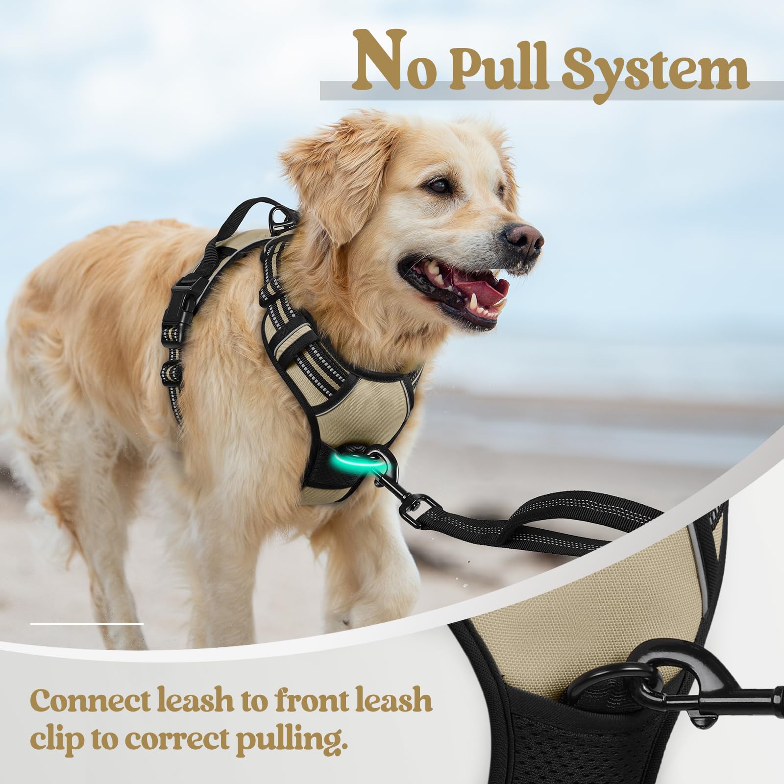 Rabbitgoo Dog Harness, No-Pull Pet Harness With 2 Leash Clips, Adjustable Soft Padded Dog Vest, Reflective No-Choke Pet Oxford Vest With Easy Control Handle For Large Dogs, Beige, Xl