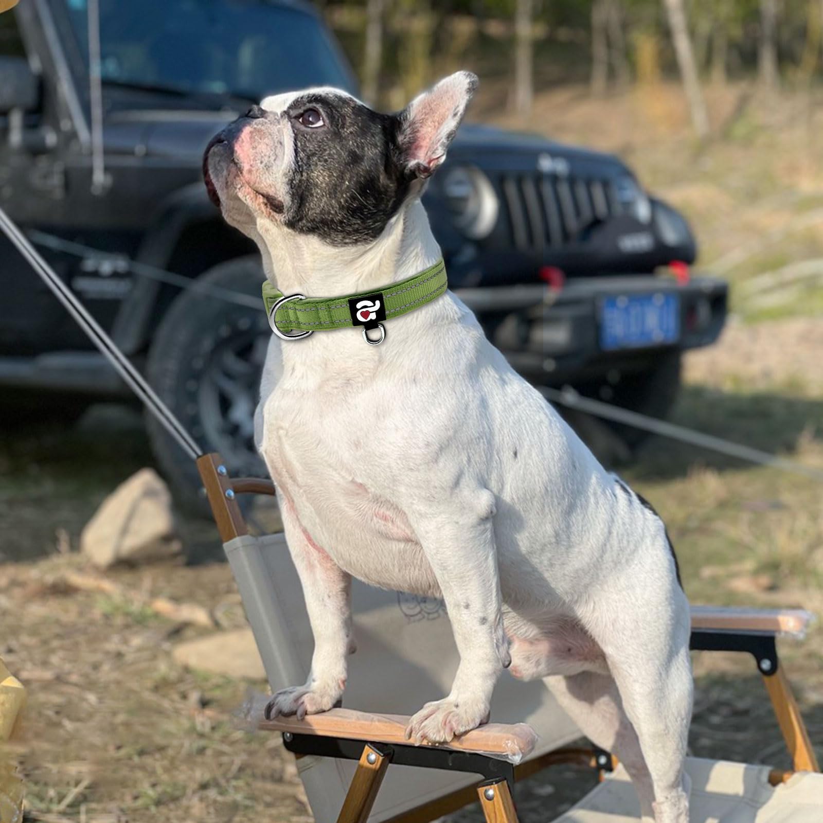 Azuza Reflective Dog Collar, Soft Neoprene Padded Pet Collar With Id Tag Ring, Adjustable For Medium Dogs,Army Green,M