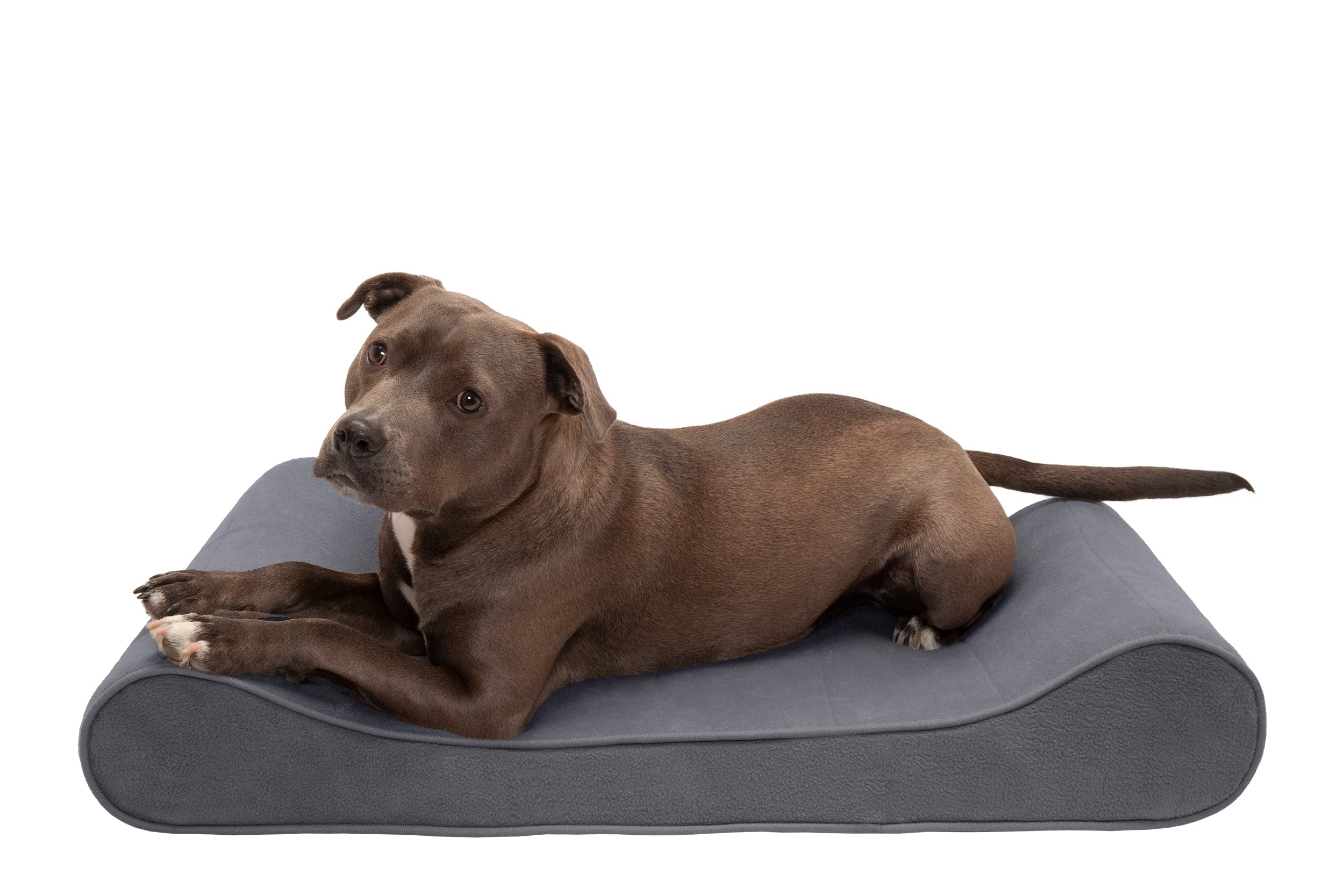 Furhaven Cooling Gel Dog Bed for Large/Medium Dogs w/ Removable Washable Cover, For Dogs Up to 38 lbs - Microvelvet Luxe Lounger
