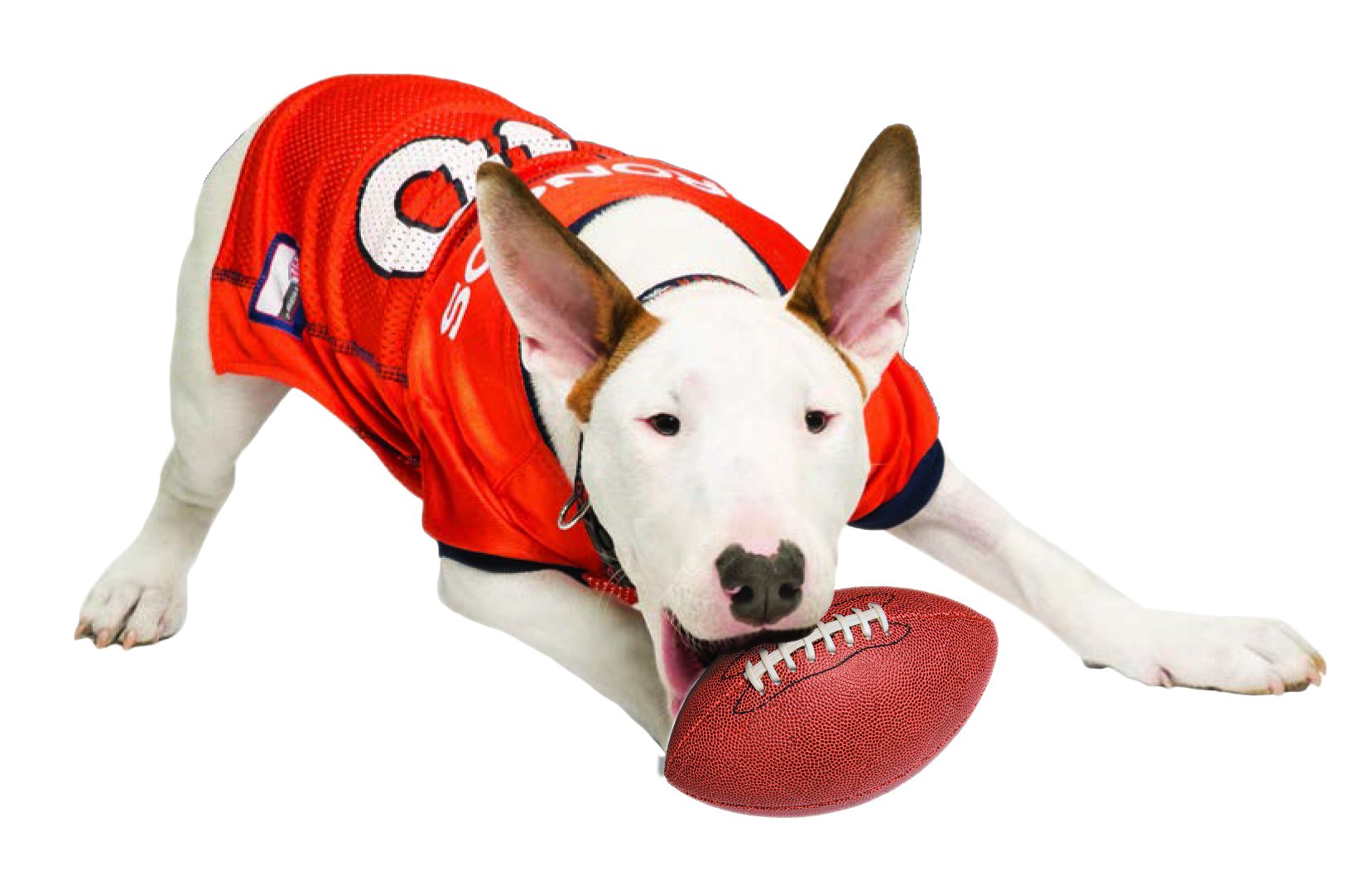 NFL DENVER BRONCOS DOG Jersey, XX-Large
