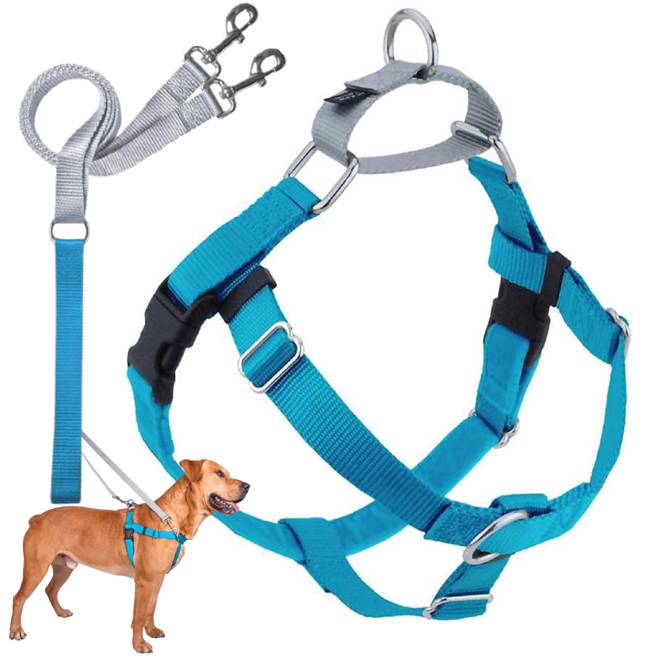2 Hounds Design Freedom No Pull Dog Harness, Adjustable Harness And Leash Set, Easy Walking & Comfortable Control, Fits Small, Medium & Large Dogs, Solid Colors, Made In Usa, 1' Xxl, Turquoise