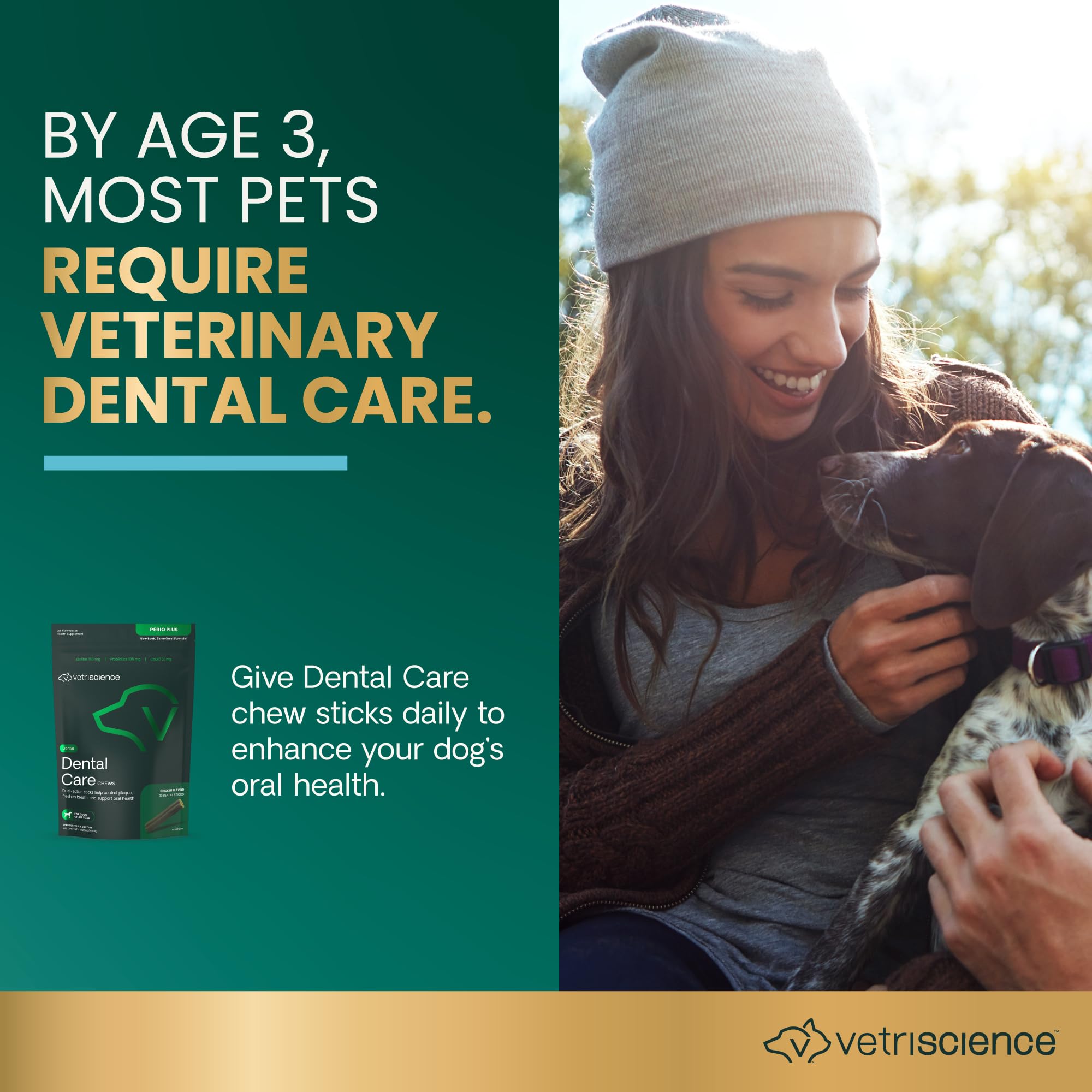 VetriScience Healthy Mouth Dental Chews, Perio Plus Sticks for Dogs, with Probiotics, Spirulina & Zeolites, Breath Freshening, P
