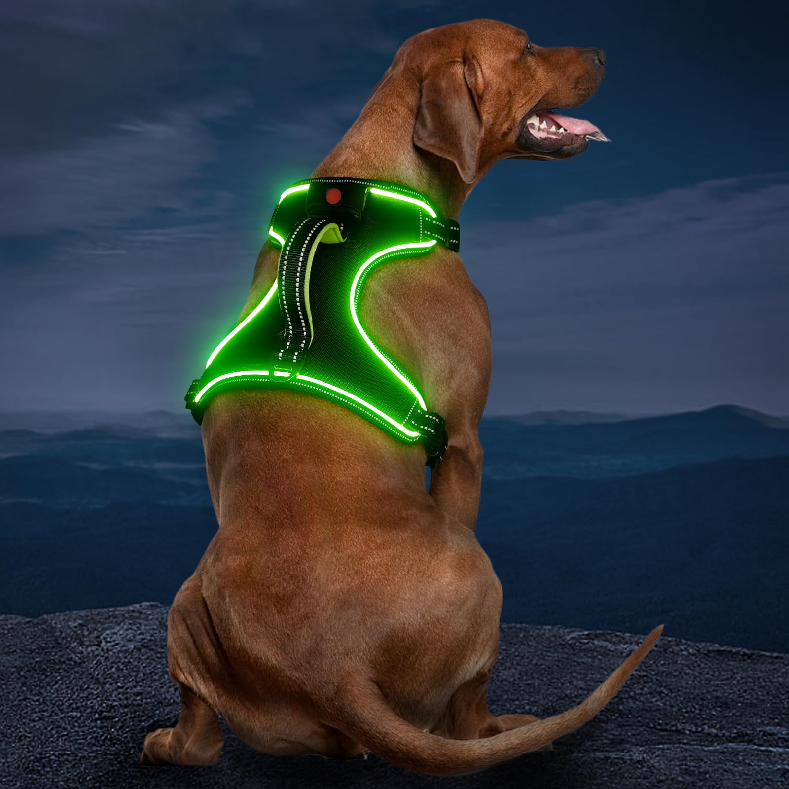 Vizbrite Light Up Dog Harness, No Pull Led Dog Harness With Handle, Rechargeable Lighted Safety Vest For Small Medium Large Dogs