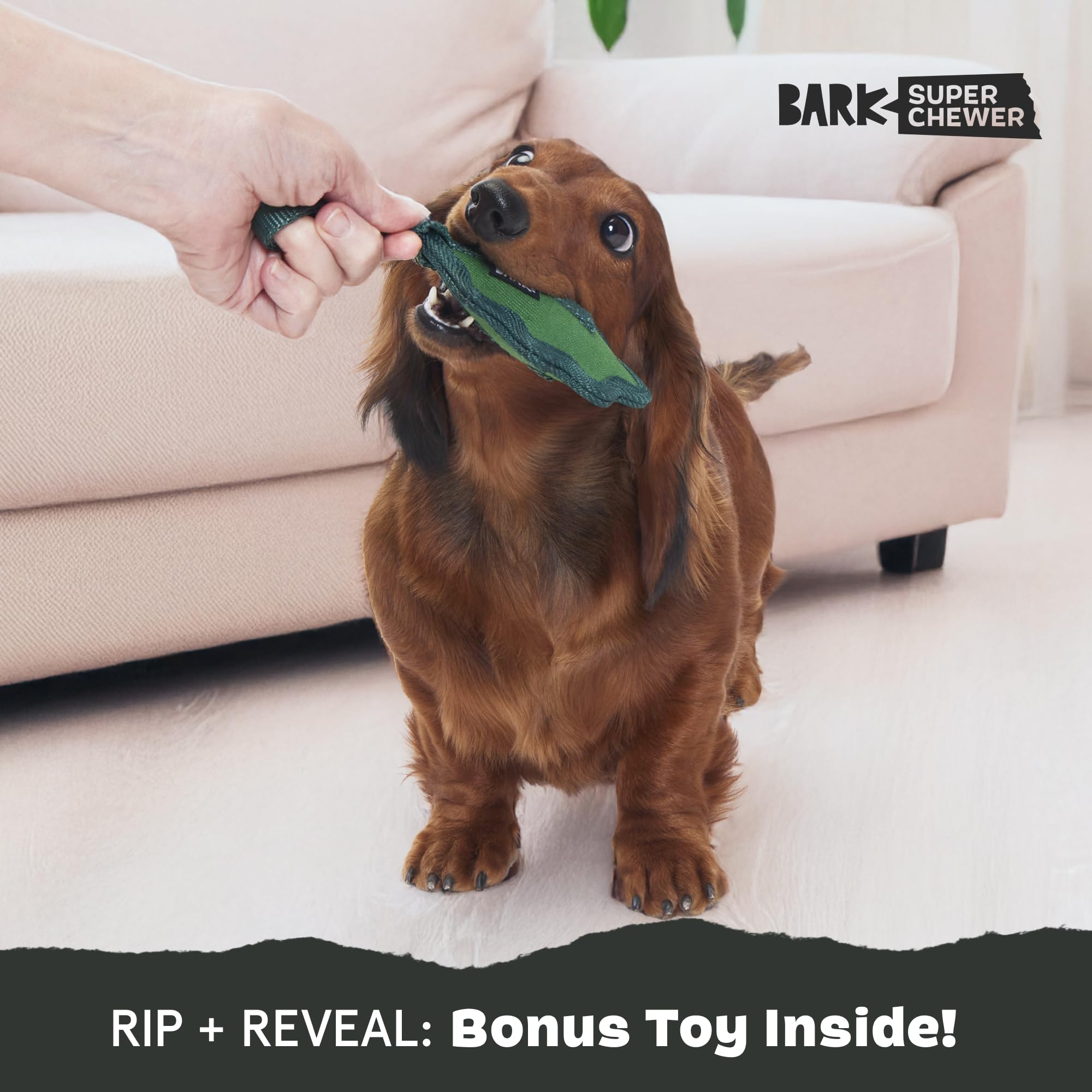 Barkbox Green Chew Leaf Dog Toy For Small Dogs - 2-In-1 Design With Mixed Textures And Surprises, Perfect For Tough Chewing And