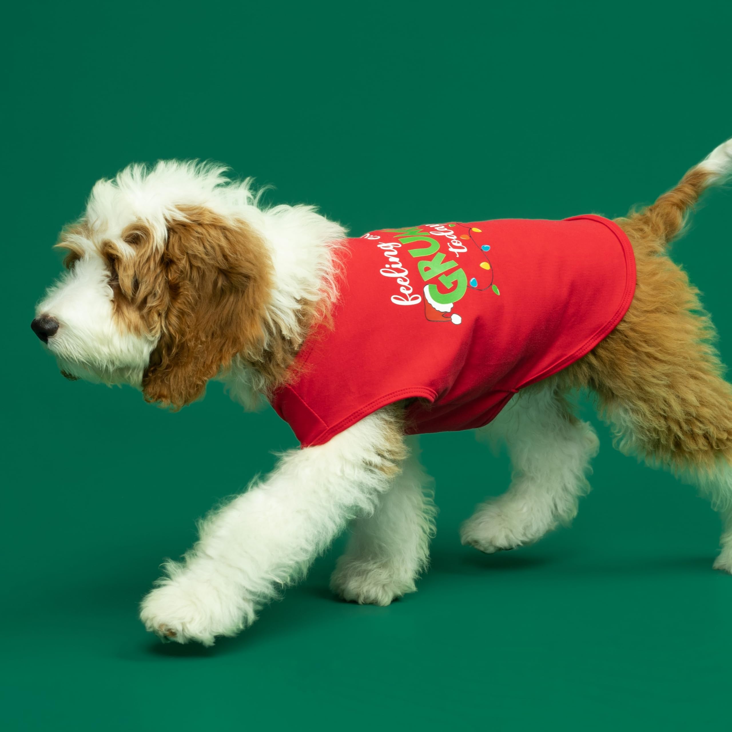 Fitwarm Feeling Extra Grumpy Today Funny Dog Shirt, Christmas Dog Clothes For Small Dogs Boy Girl, Holiday Doggy Tank Top, Pet O