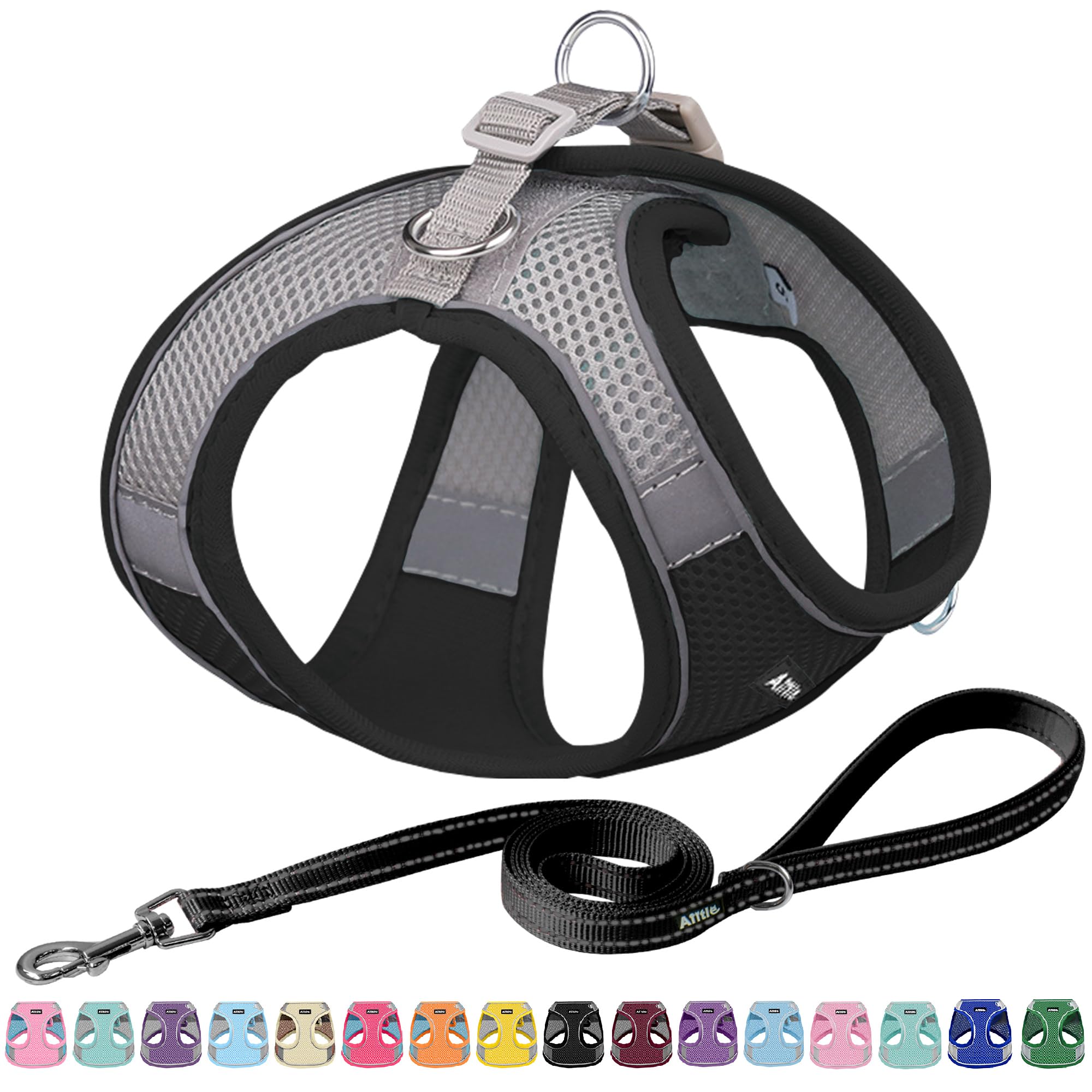 Aiitle Easy Walk Dog Harness And Leash Set - Pet Supply No Pull, Step In Adjustable Dog Harness With Padded Vest For Spring, Dog