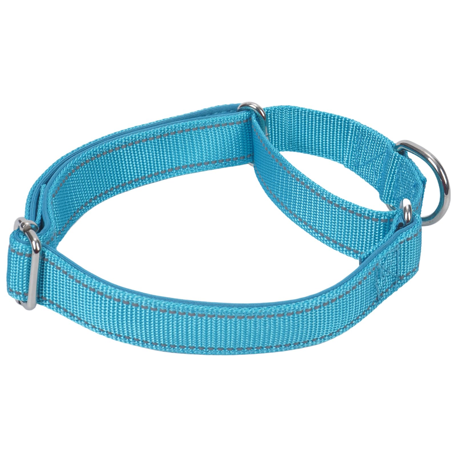 SGODA Martingale Dog Collar, Reflective Nylon Padded Dog Training Collars for Small Dogs, Blue S