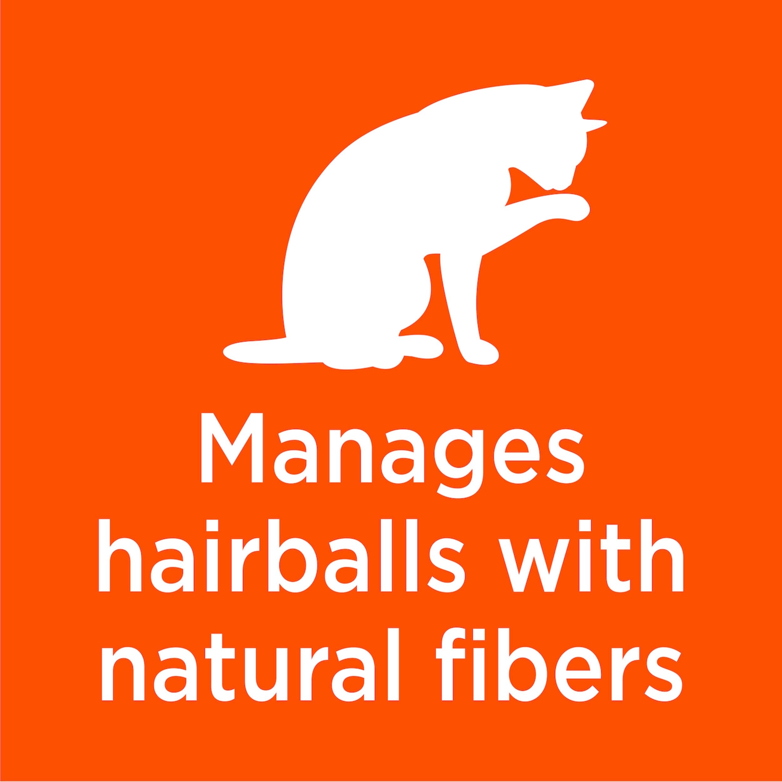 IAMS Proactive Health Adult Hairball Care Dry Cat Food with Chicken and Salmon, 3.5 lb. Bag