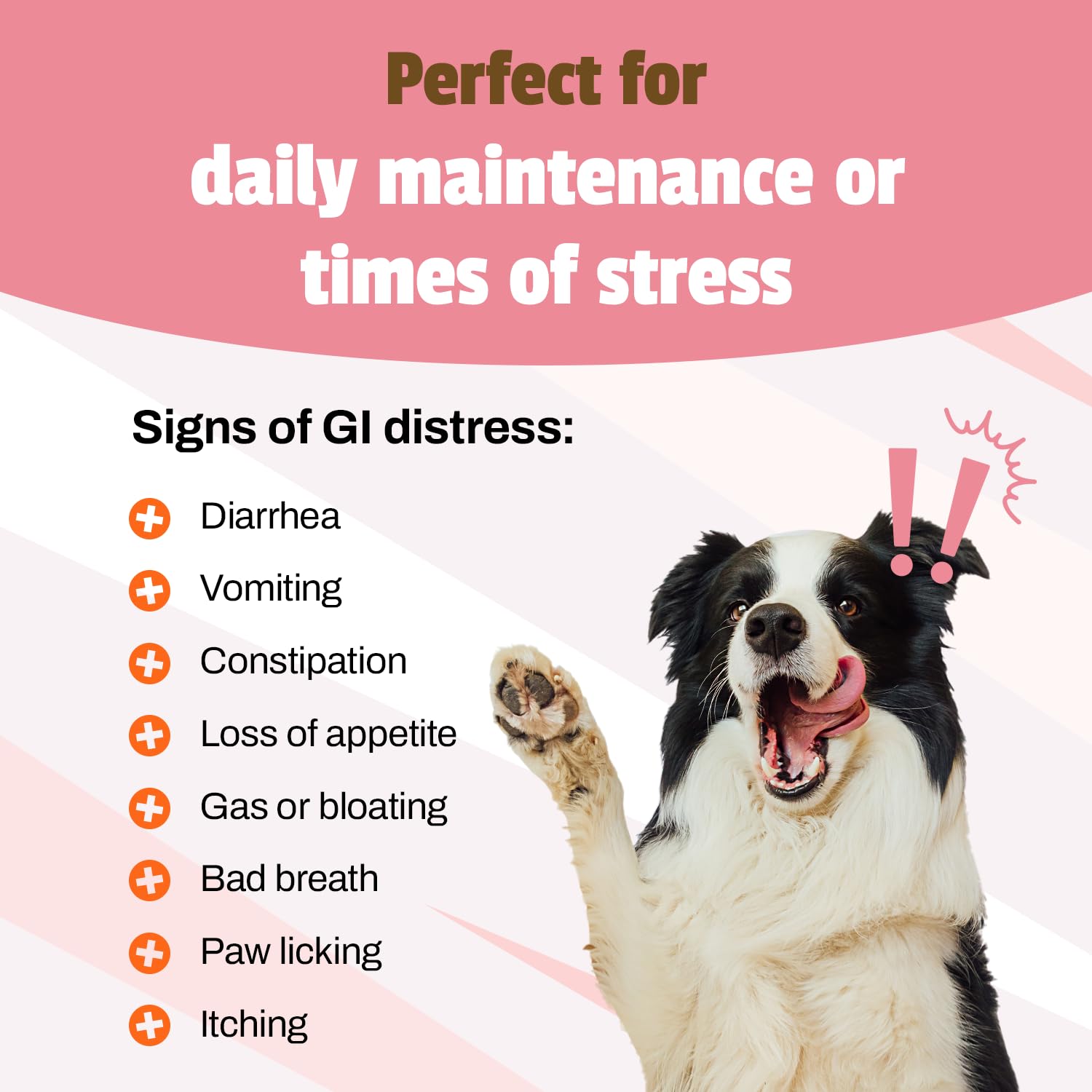 Pet Naturals Daily Probiotic for Dogs, 120M CFUs - Pre and Probiotics for Dogs Digestive Health, Gut Health, Immune Support, Dia