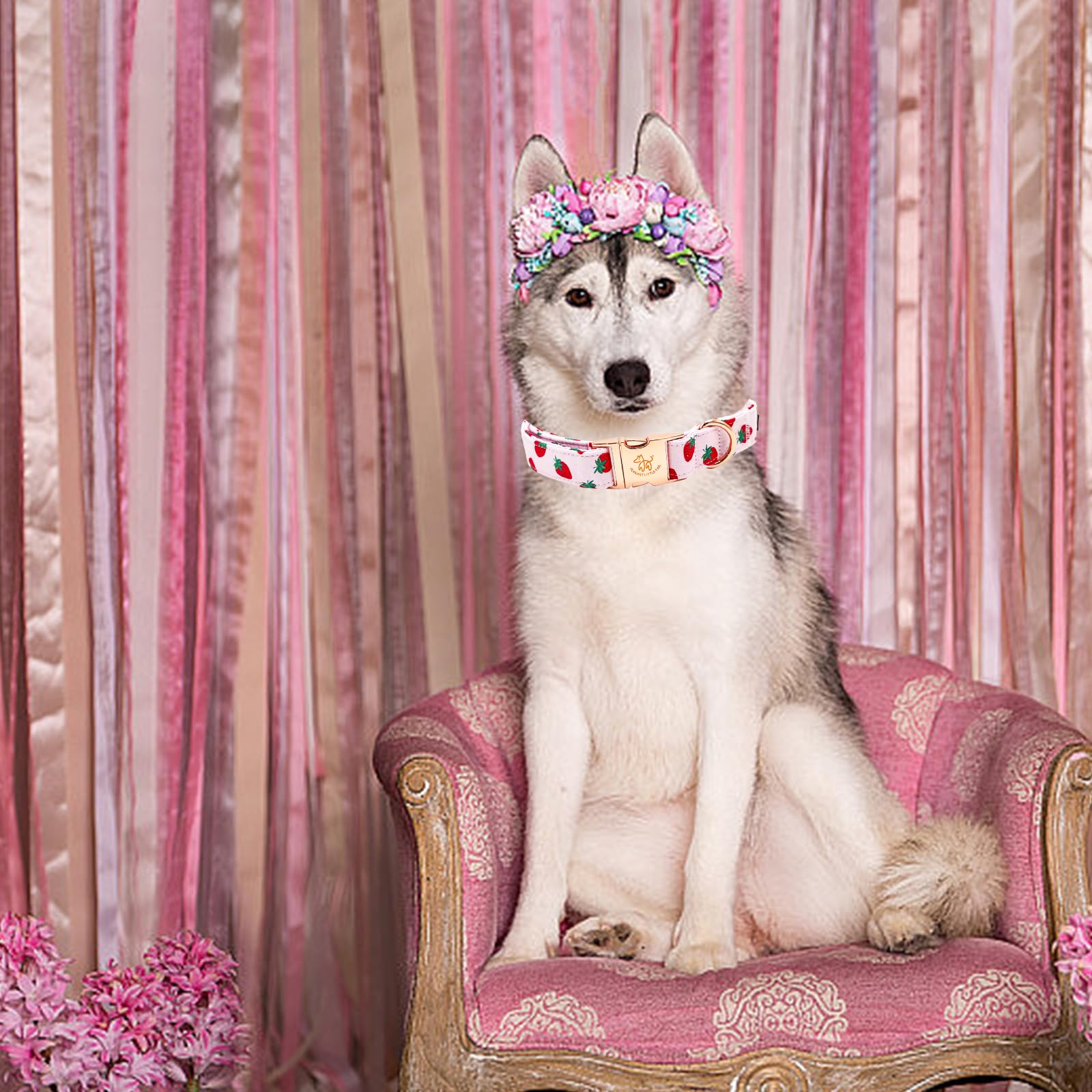 Elegant Strawberries Print Summer Dog Collar - Cotton, Durable Metal Buckle Collar For Small Dogs