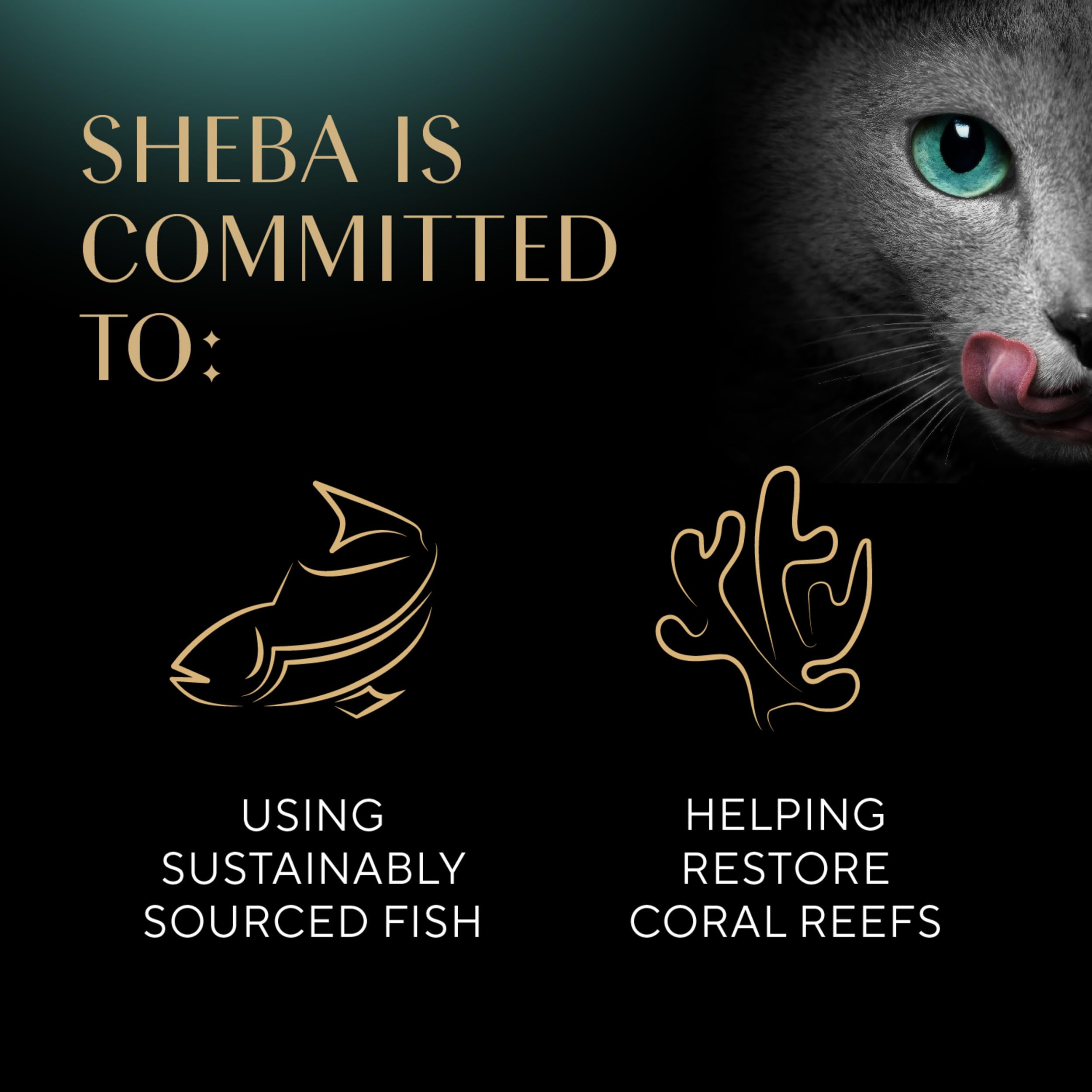 SHEBA PERFECT PORTIONS Multipack Cuts in Gravy Roasted Chicken, Gourmet Salmon, and Signature Tuna Entr  e Wet Cat Food 47.52 oz