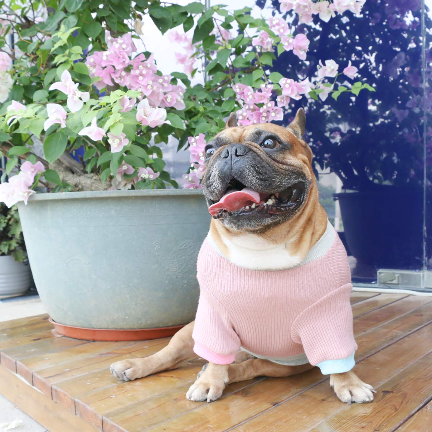 Ichoue Pet Dog Crewneck Sweater Color Block Pullover Winter Warm Clothes For English Bulldog Bully Pitbull - Pink And Grey/Xlarg