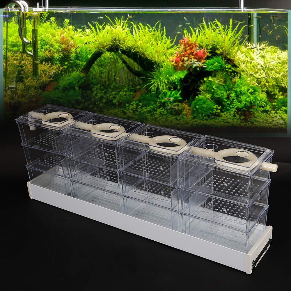 Wupyi Aquarium External Filter Fish Tank External Filter Box Aquarium Filter Fish Tank Upper Trickle Box Filters System 12 Box,Transparent