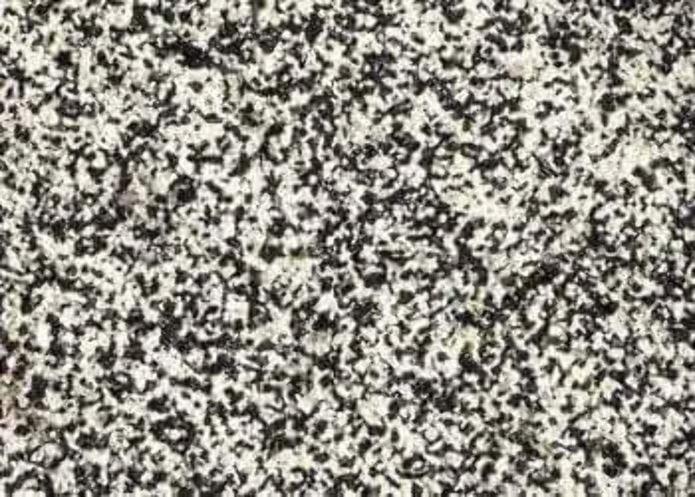 Carib Sea Acs00222 African Sahara Sand For Aquarium, 20-Pound