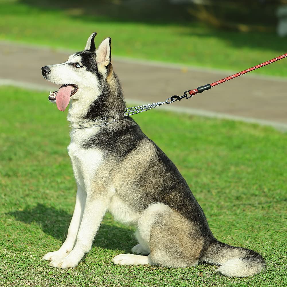 Cbbpet Dog Prong Collar, Adjustable Dog Training Collar With Quick Release Buckle For Small Medium Large Dogs (Silver, Xl /4.0Mm