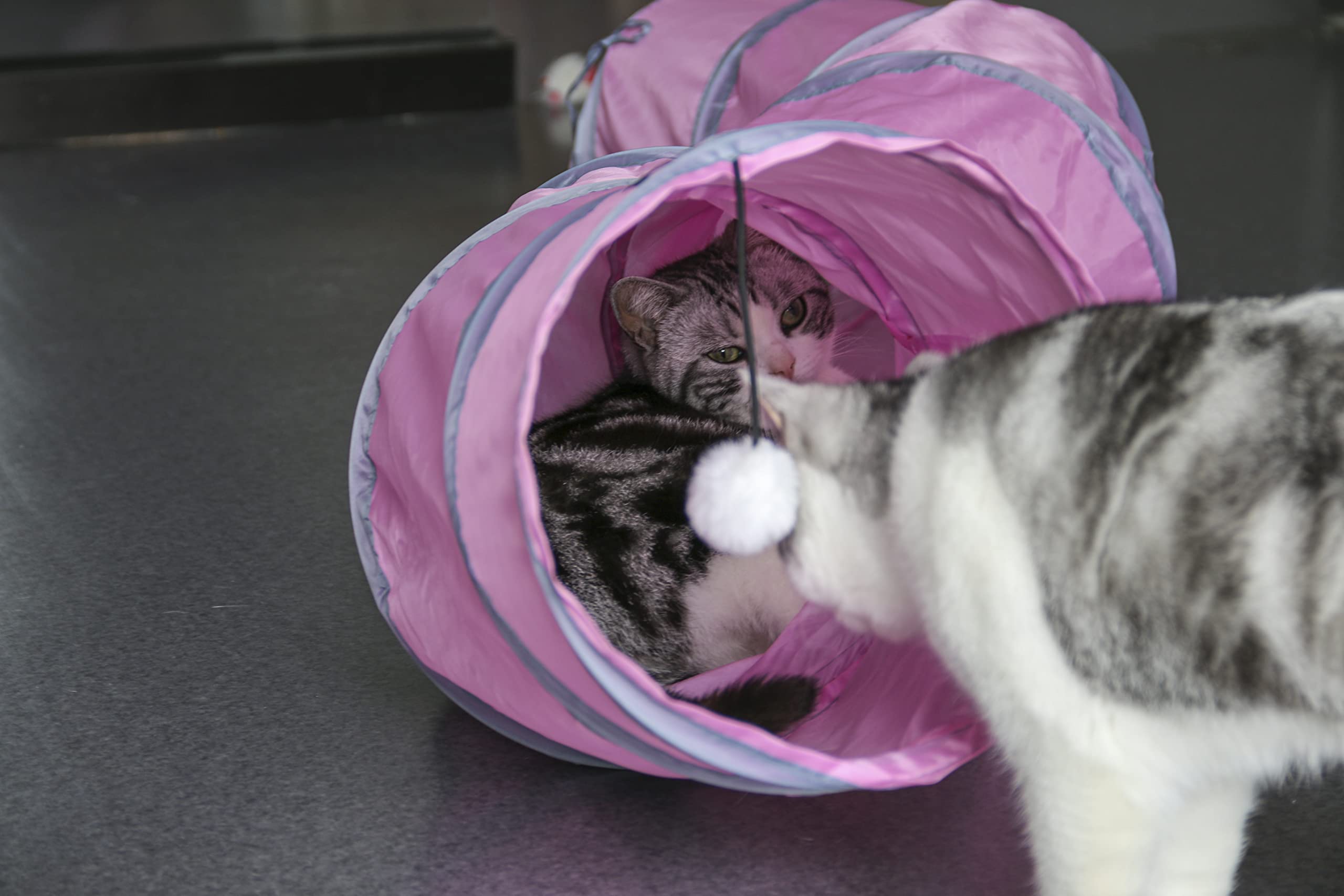 Petlike S Way Cat Tunnel Collapsible Pop-Up Pet Tube Hideaway Play Toy With Ball (S-Way, Pink)