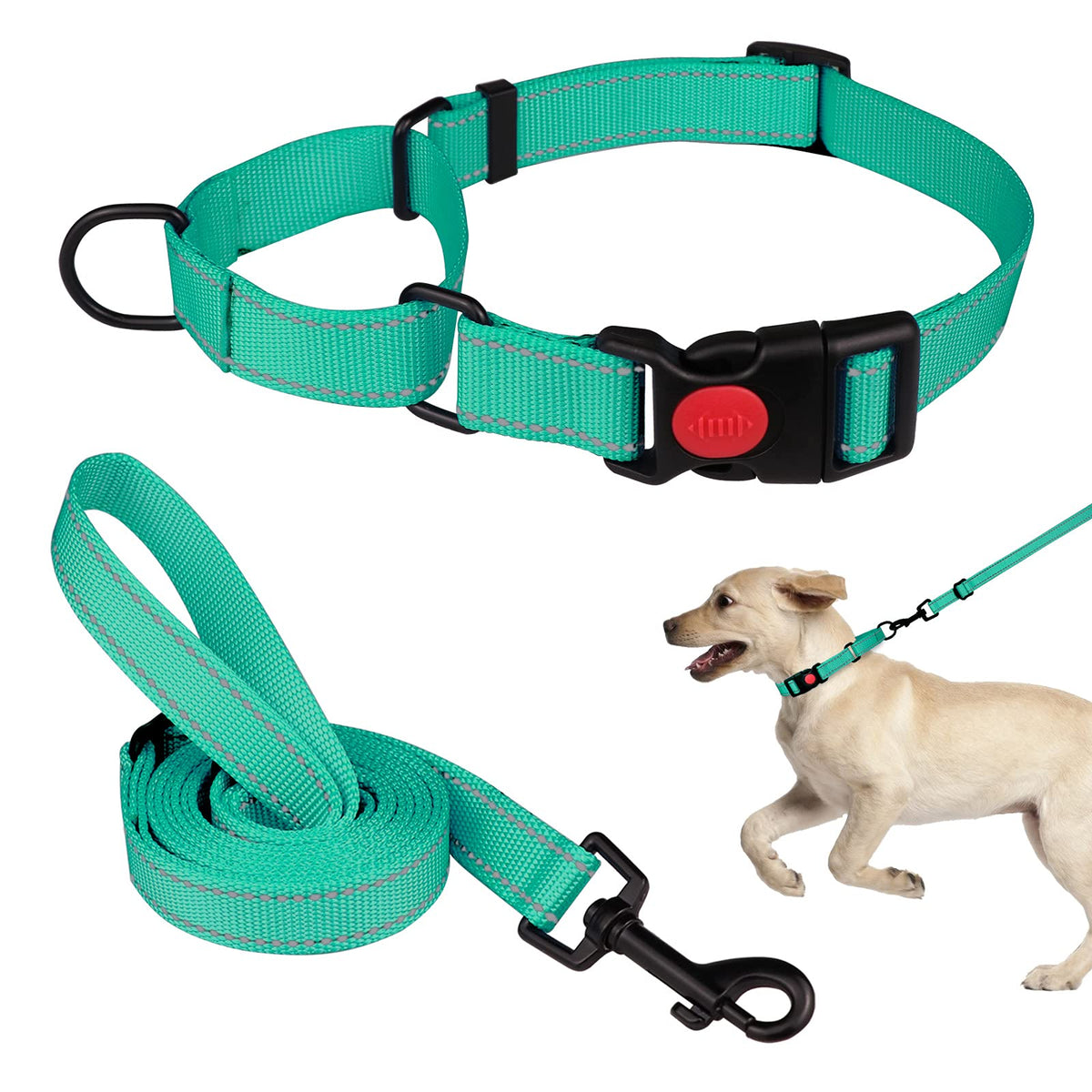 Martingale Dog Collar And Leash Set Martingale Collars For Dogs Reflective Martingale Collar For Small Medium Large Dogs(Mint Gr