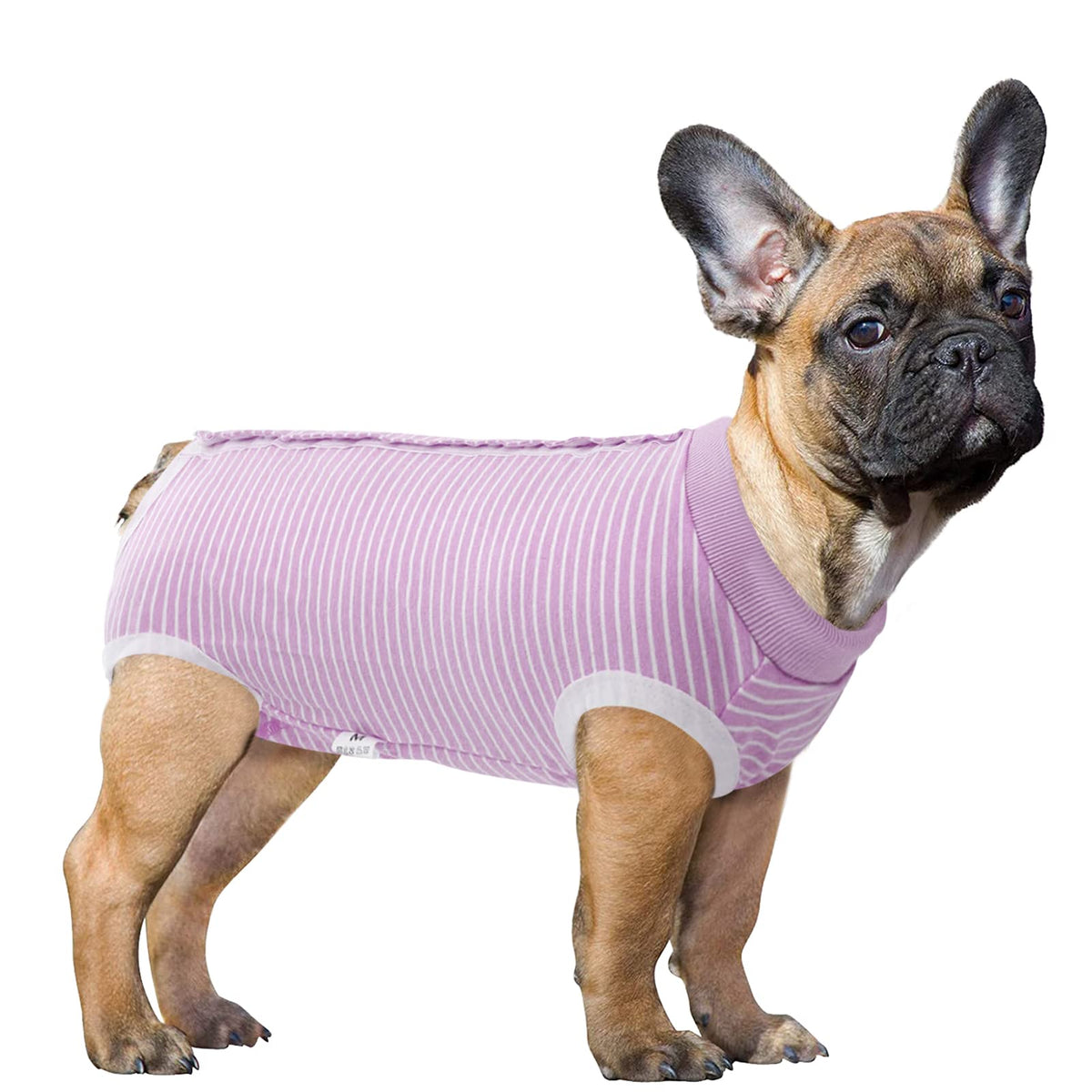 Sawmong Dog Recovery Suit, Recovery Suit For Dogs After Surgery, Dog Spay Surgical Suit For Female Dogs, Dog Onesie Body Suit For Surgery Male Substitute Dog E-Collar Cone, Purple, X-Large