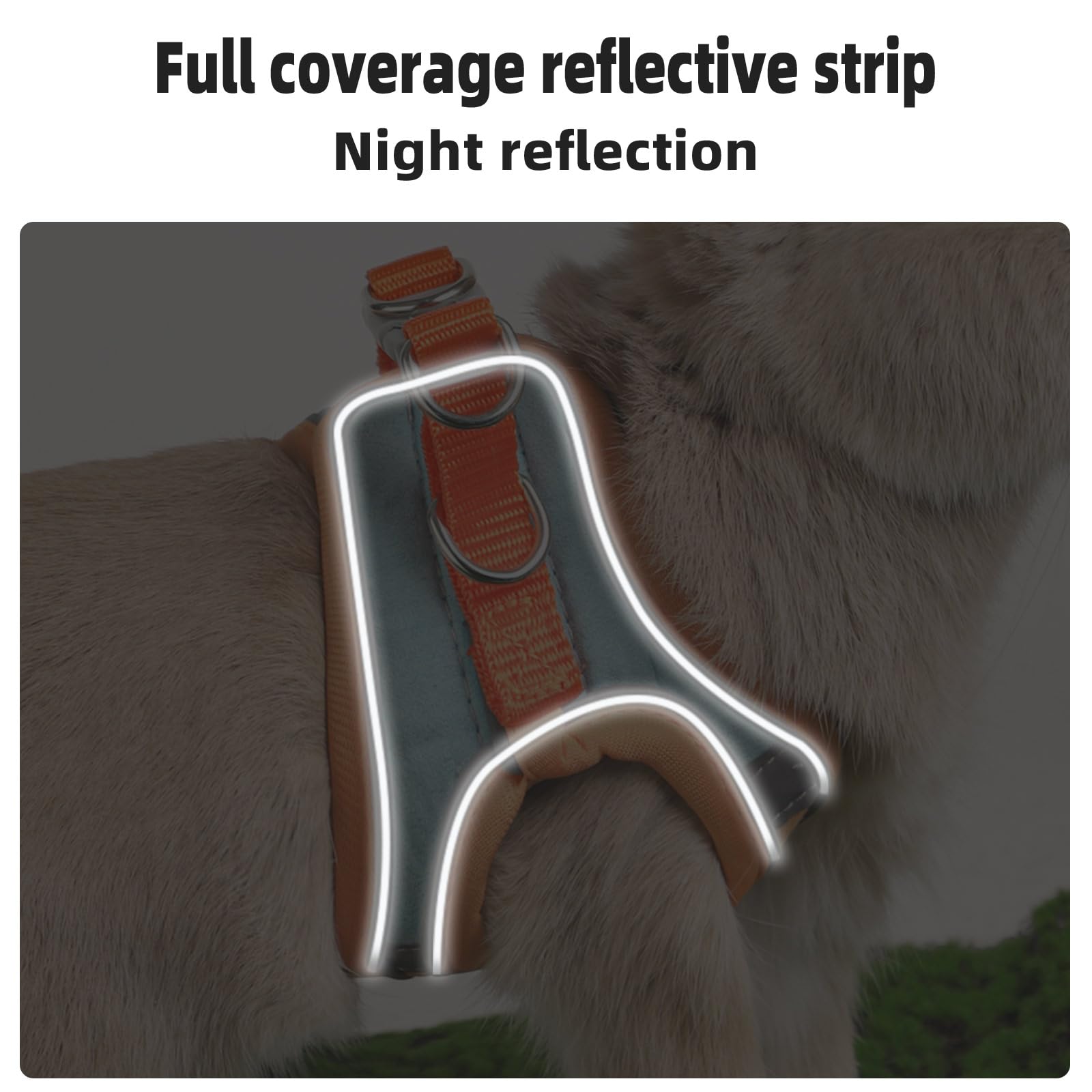 Adjustable Bunny Harness And Leash Set Double Buckle With Reflective Strips Rabbit Vest Pets Stuff Suitable For Rabbit Walks Acc